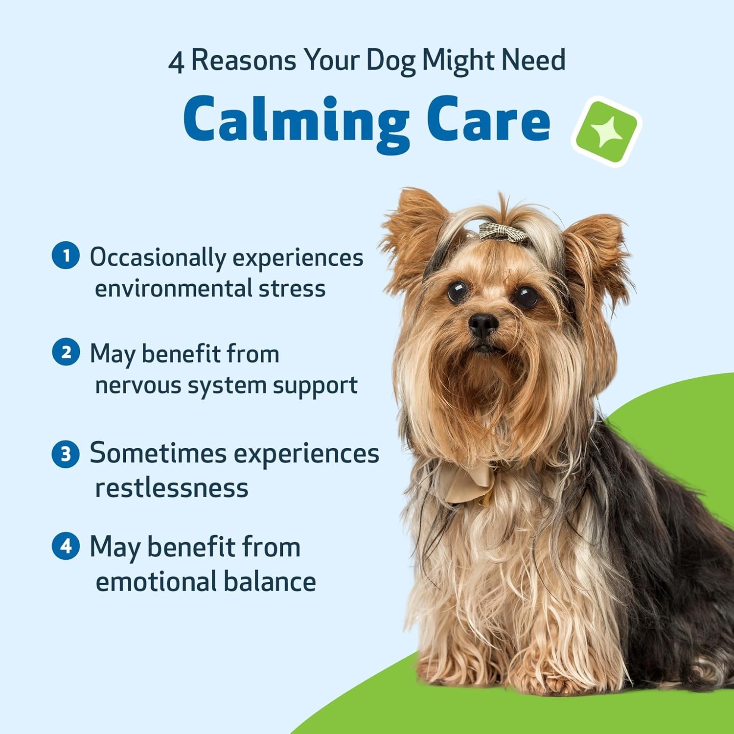 Pet Wellbeing Calming Care for Dogs - Calm Support, Relaxed Nervous System, Emotional Balance, Adaptogens, Ashwagandha, Holy Basil - Veterinarian-Formulated Herbal Supplement 2 fl oz (59 ml) - Image 3