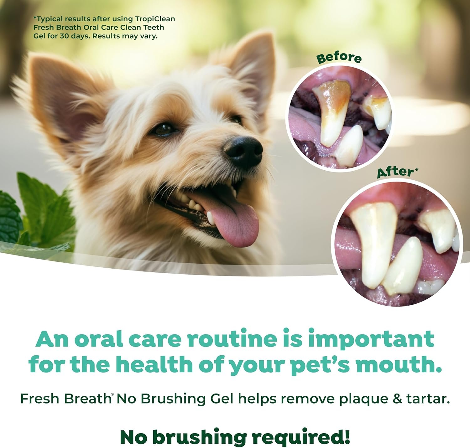 TropiClean Clean Teeth Gel for Puppies | No Brush Puppy Dental Gel | Puppy Toothpaste | Puppy Tooth Gel for Small Dogs | Made in the USA | 2.2 oz. - Image 6