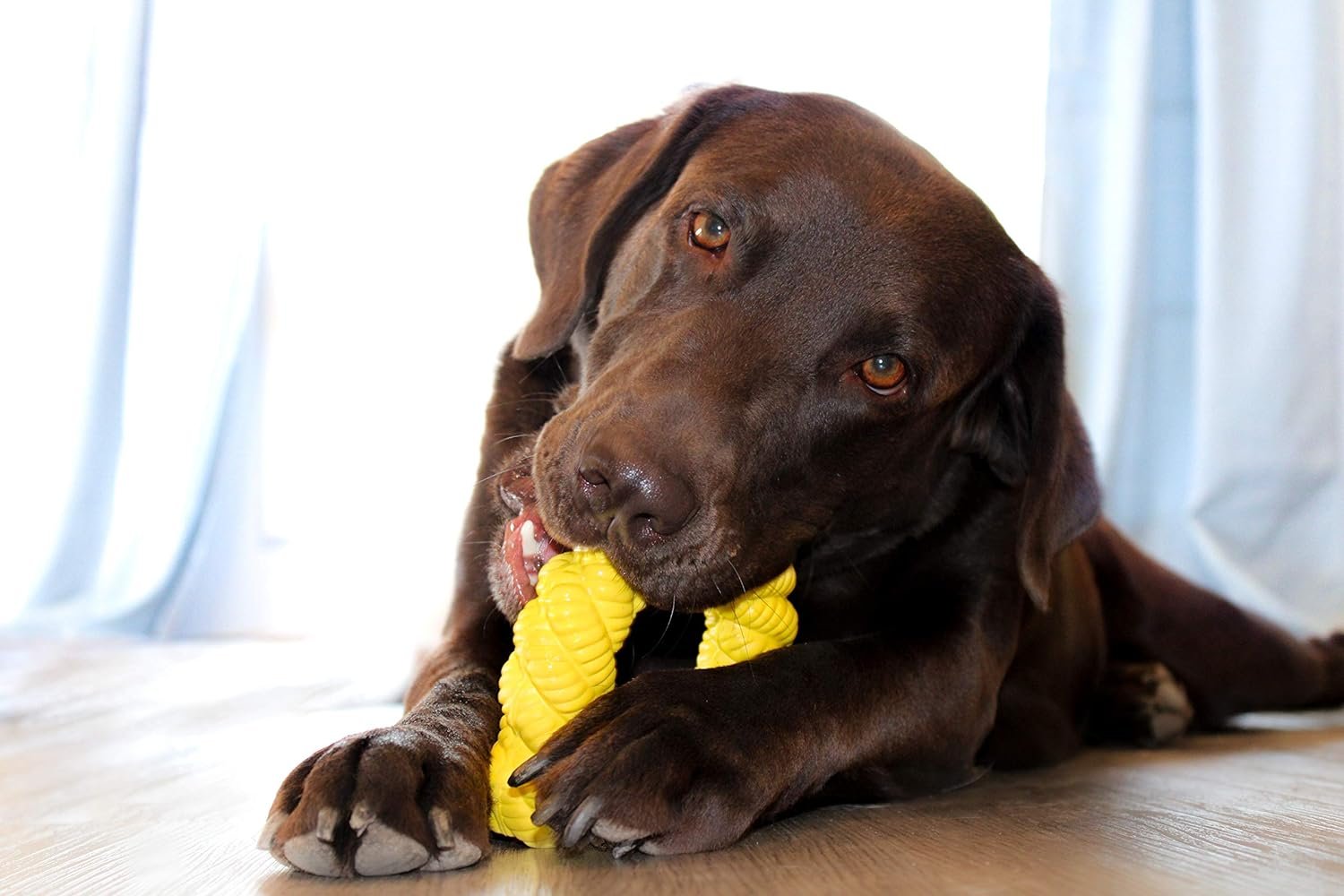 Chew Toys for Aggressive Chewers, 5 Pack, Flavor Infused Heavy Duty Rubber Bones, Ring, Antlers, Ropes and Animal, Indoor and Outdoor Play for Medium to Large Breeds - Image 6