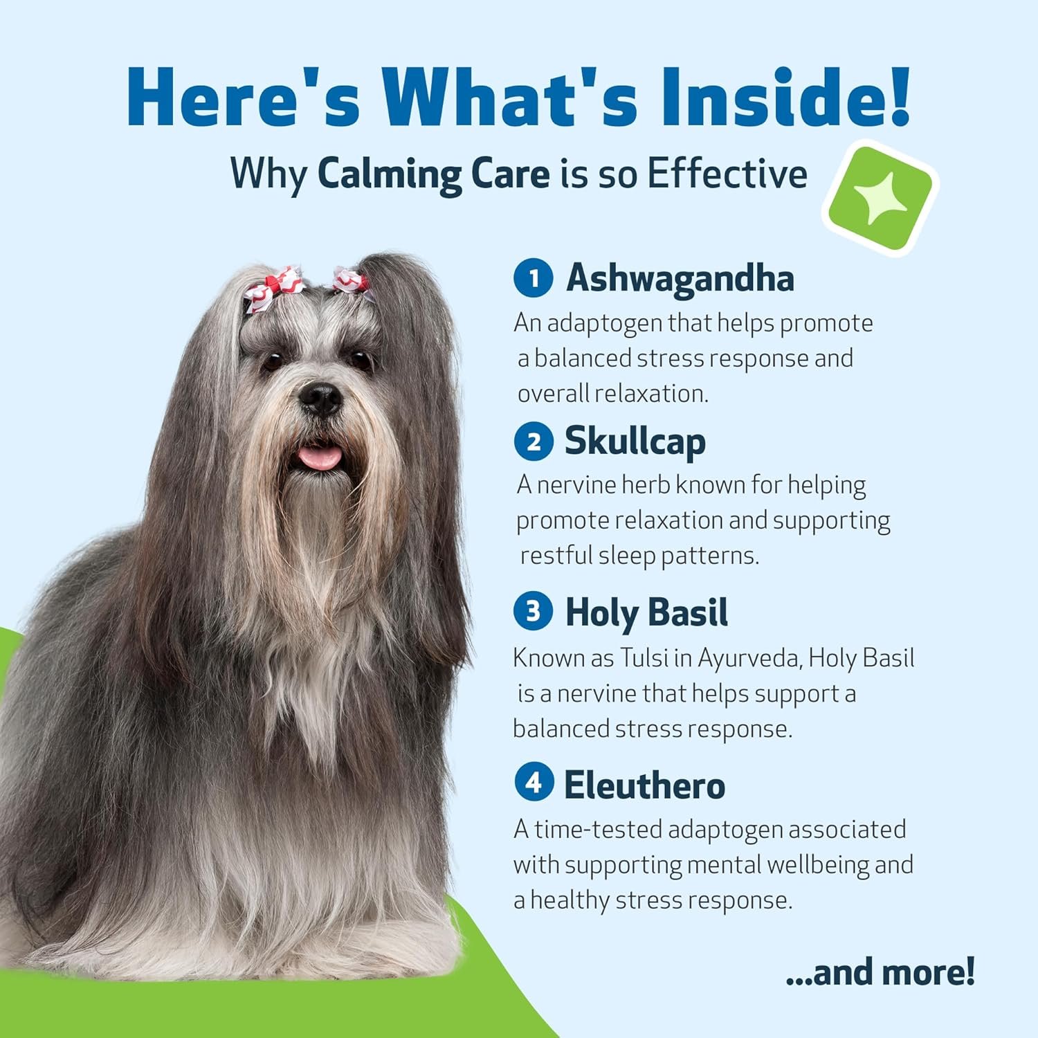 Pet Wellbeing Calming Care for Dogs - Calm Support, Relaxed Nervous System, Emotional Balance, Adaptogens, Ashwagandha, Holy Basil - Veterinarian-Formulated Herbal Supplement 2 fl oz (59 ml) - Image 6