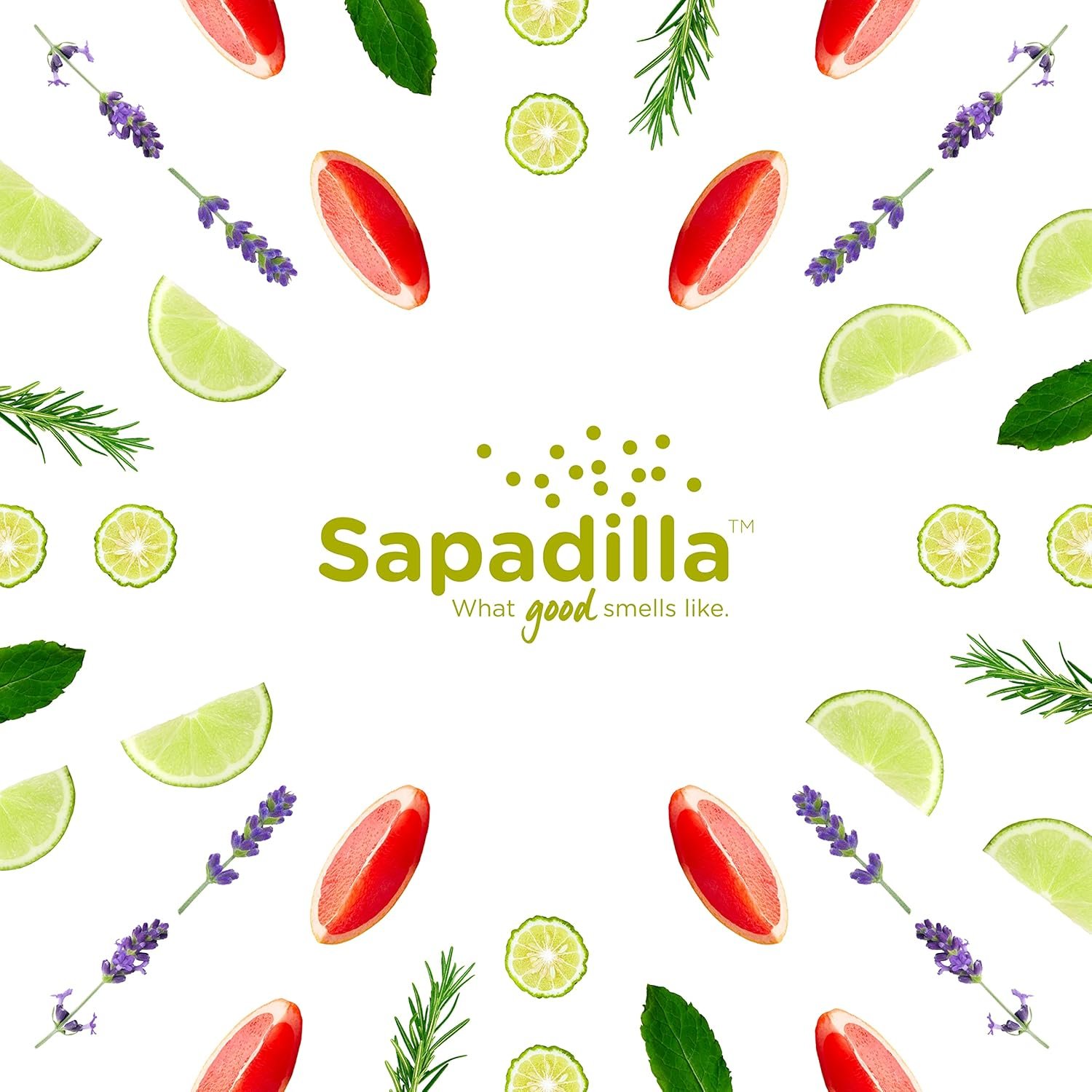 Sapadilla Grapefruit + Bergamot Biodegradable Countertop Cleanser Spray, 16 Ounce, (Pack of 1) - Image 9