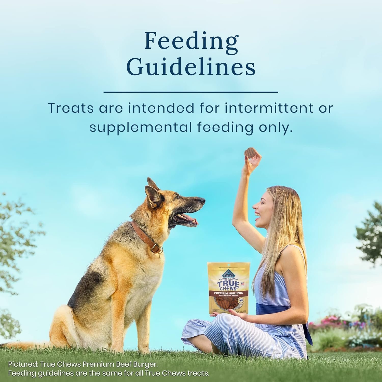 Blue Buffalo True Chews Premium Jerky Cuts Natural Dog Treats, Chicken 12 oz bag - Image 6