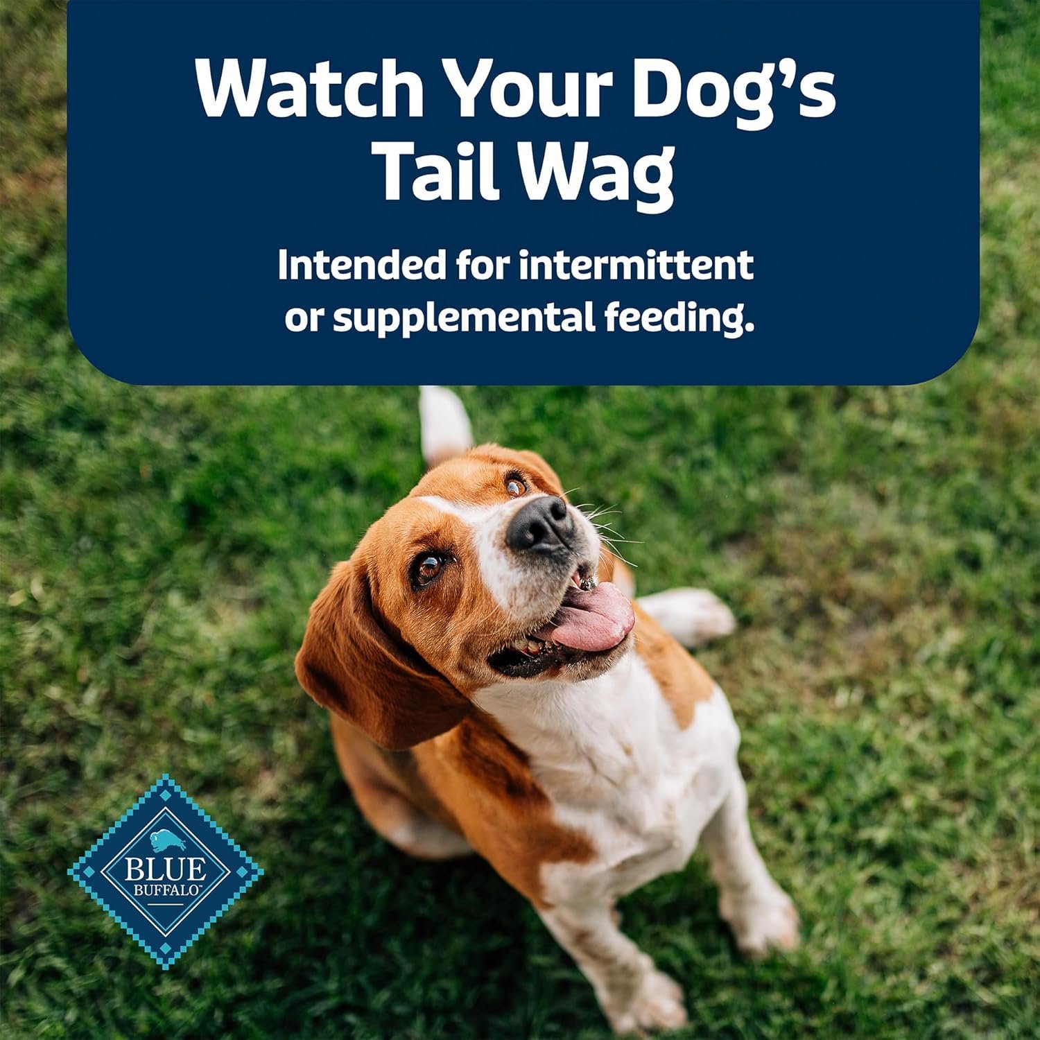 Blue Buffalo Stix Pepperoni-style Dog Treats Made with Natural Ingredients, Chicken Recipe, 24-oz. Bag - Image 9