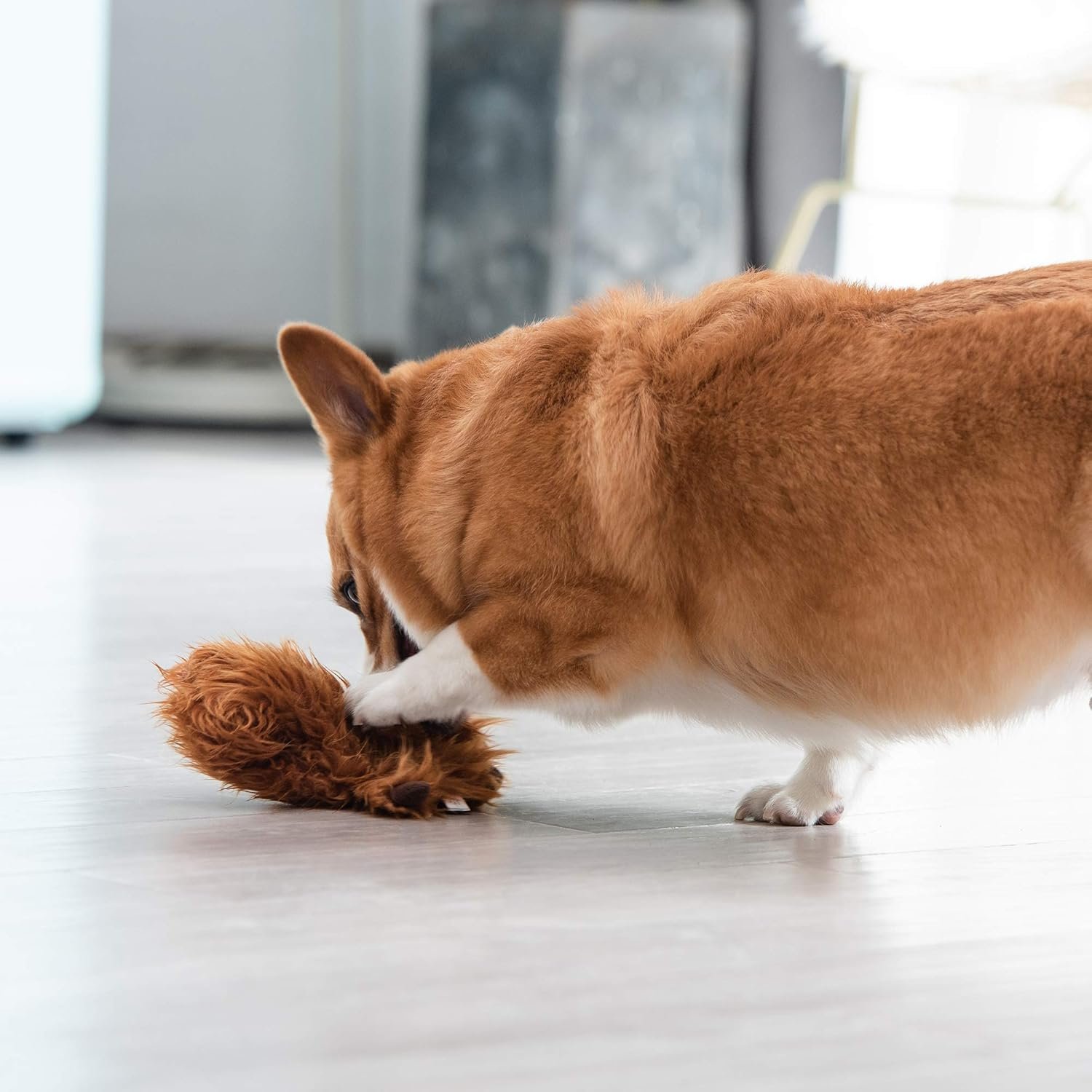 Star Wars for Pets Plush Chewbacca Flattie Dog Toy | Soft Star Wars Toys for Dogs, Brown, Large - 9" | Cute Dog Toy, Squeaky Dog Chew Toy for Pets from Star Wars - Image 7