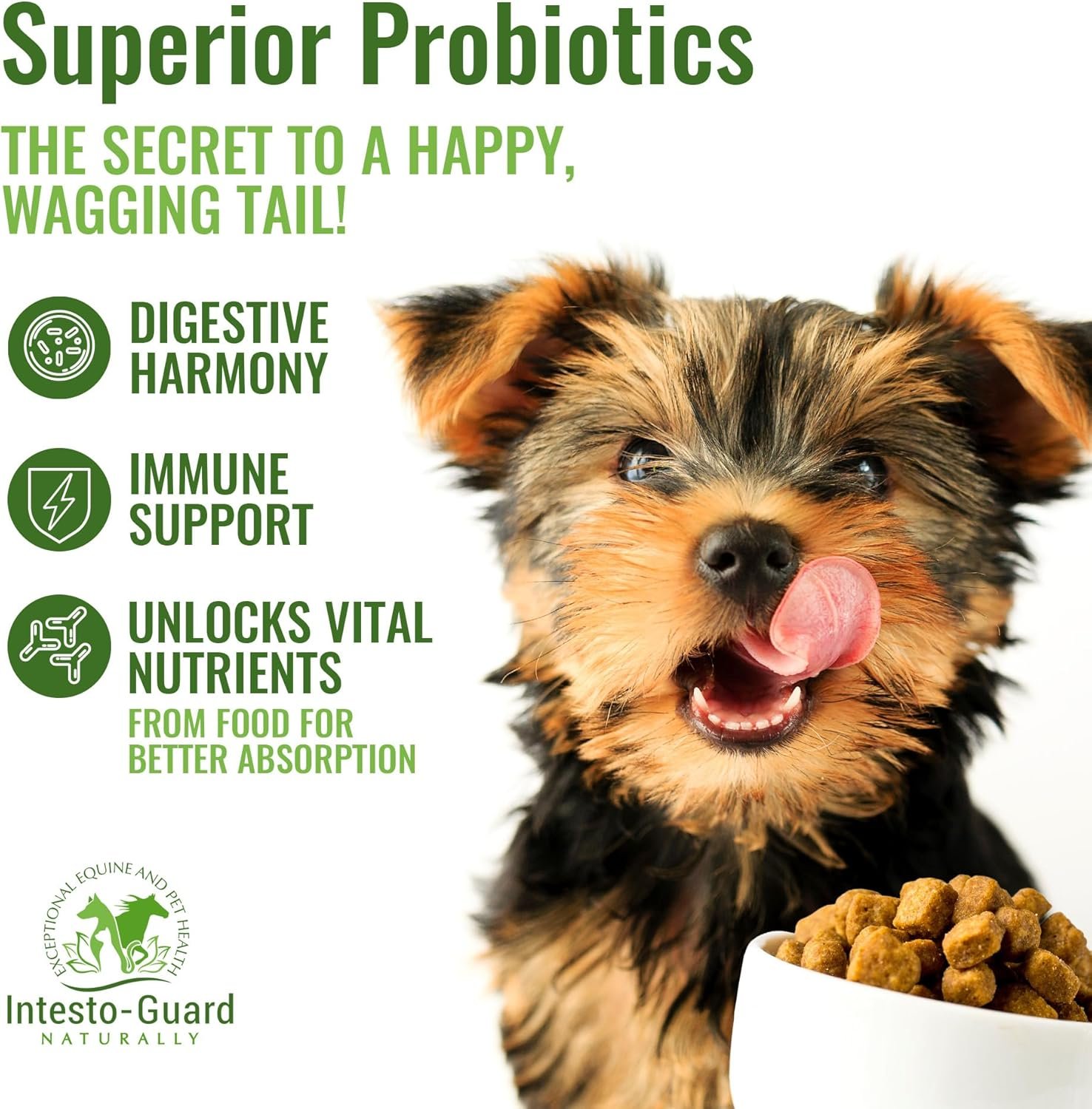 Intesto Guard Probiotics Paste 60ML/60cc Tube for Dogs & Cats Helps with Dog Diarrhea, Immune Supplements, with IgY antibodies & Made in USA - Image 5
