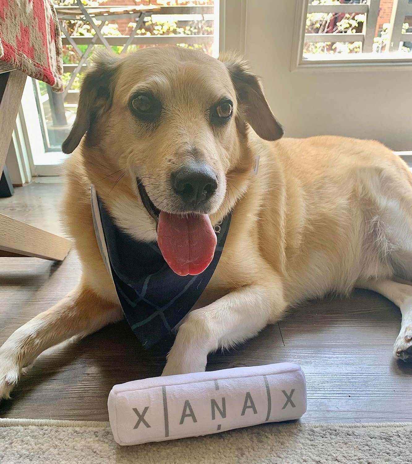 Nestpark Chill Pup Funny Dog Toy - Parody Plush Squeaky Crinkle Dog Toy - Image 6