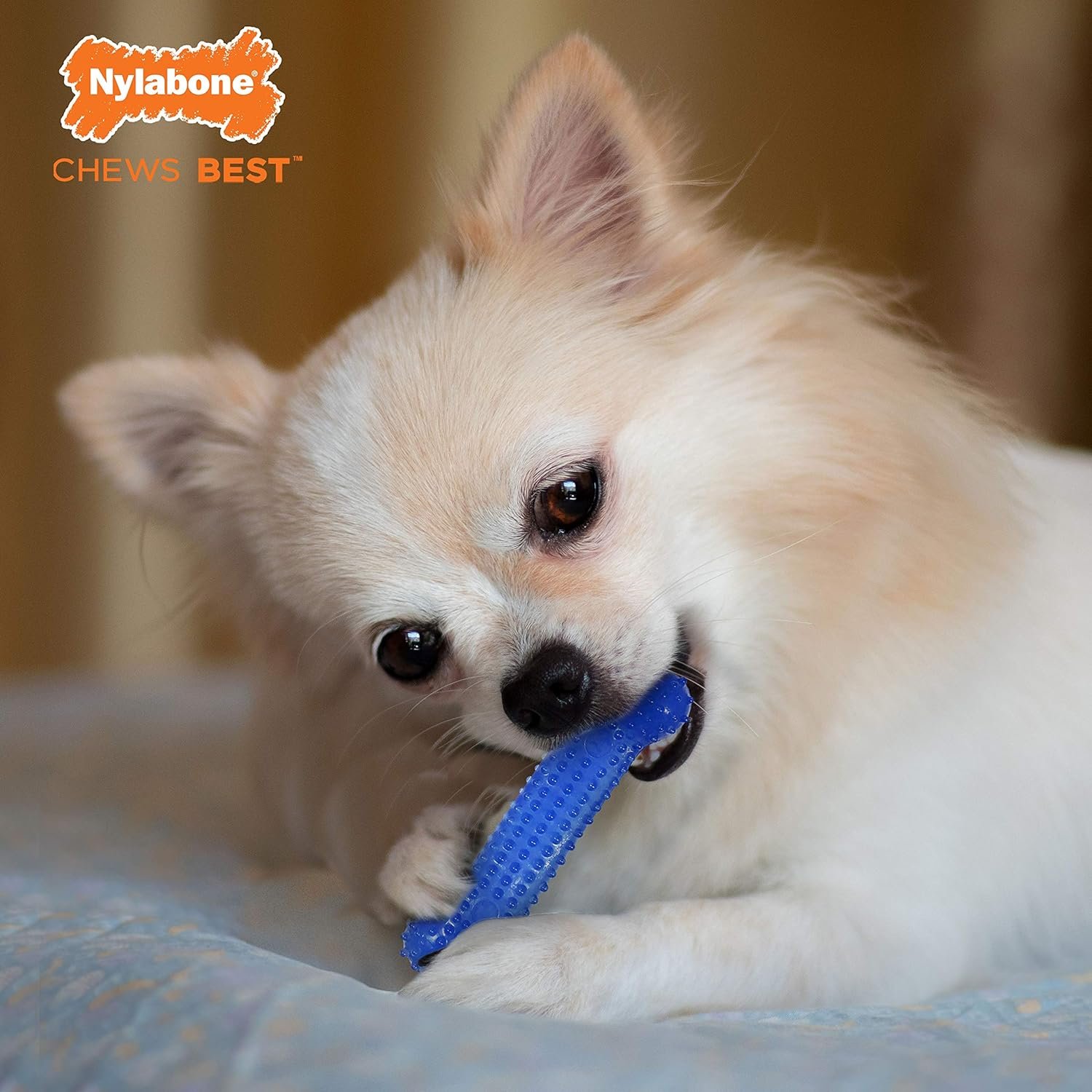 Nylabone Flexi Chew Moderate Dog Dental Chew Toy Bones Triple Pack, Peanut Butter & Bacon, X-Small/Petite (3 Count) - Image 3