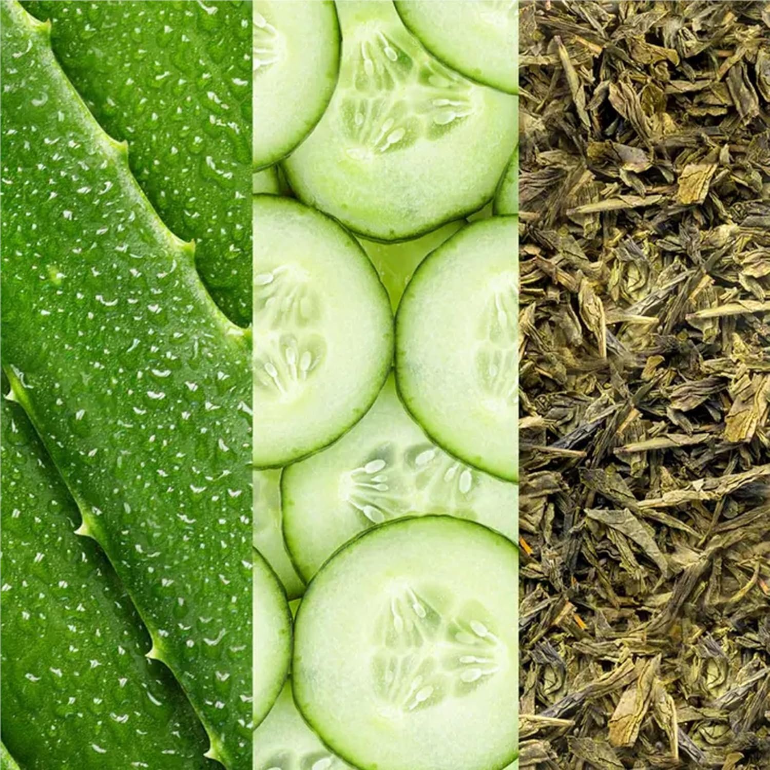 Mario Badescu Facial Spray Duo - Includes Aloe, Chamomile & Lavender PLUS Aloe, Cucumber & Green Tea Toner for Face, Neck or Hair - Cooling and Hydrating Face Mist for All Skin Types, Dewy Finish - Image 6