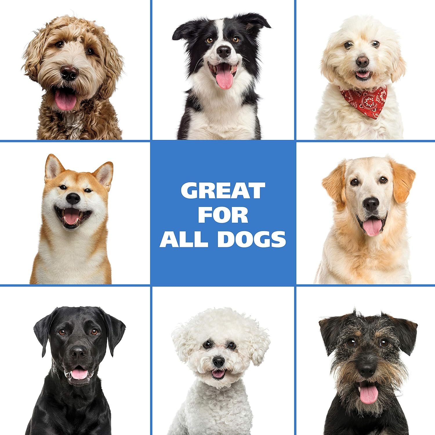 Wahl USA Pet Friendly Waterless No Rinse Shampoo for Animals – Oatmeal & Coconut Lime Verbena for Cleaning, Conditioning, Detangling & Moisturizing Dogs, & Cats – 7.1 Oz - Model 820015A - Image 8