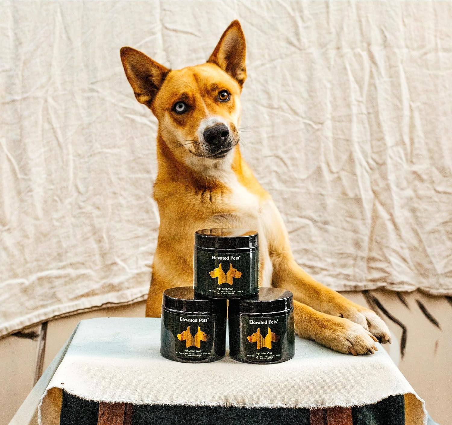 Ultra-Healthy Omega 3 Fish Oil Treats w/MSM, Glucosamine, Chondroitin, EPA/DHA for Dogs: Elevated Pets Fish Oil, Turmeric & Joint Supplement + Allergy Chews - Ultimate Dog Vitamin Supplement - Image 8