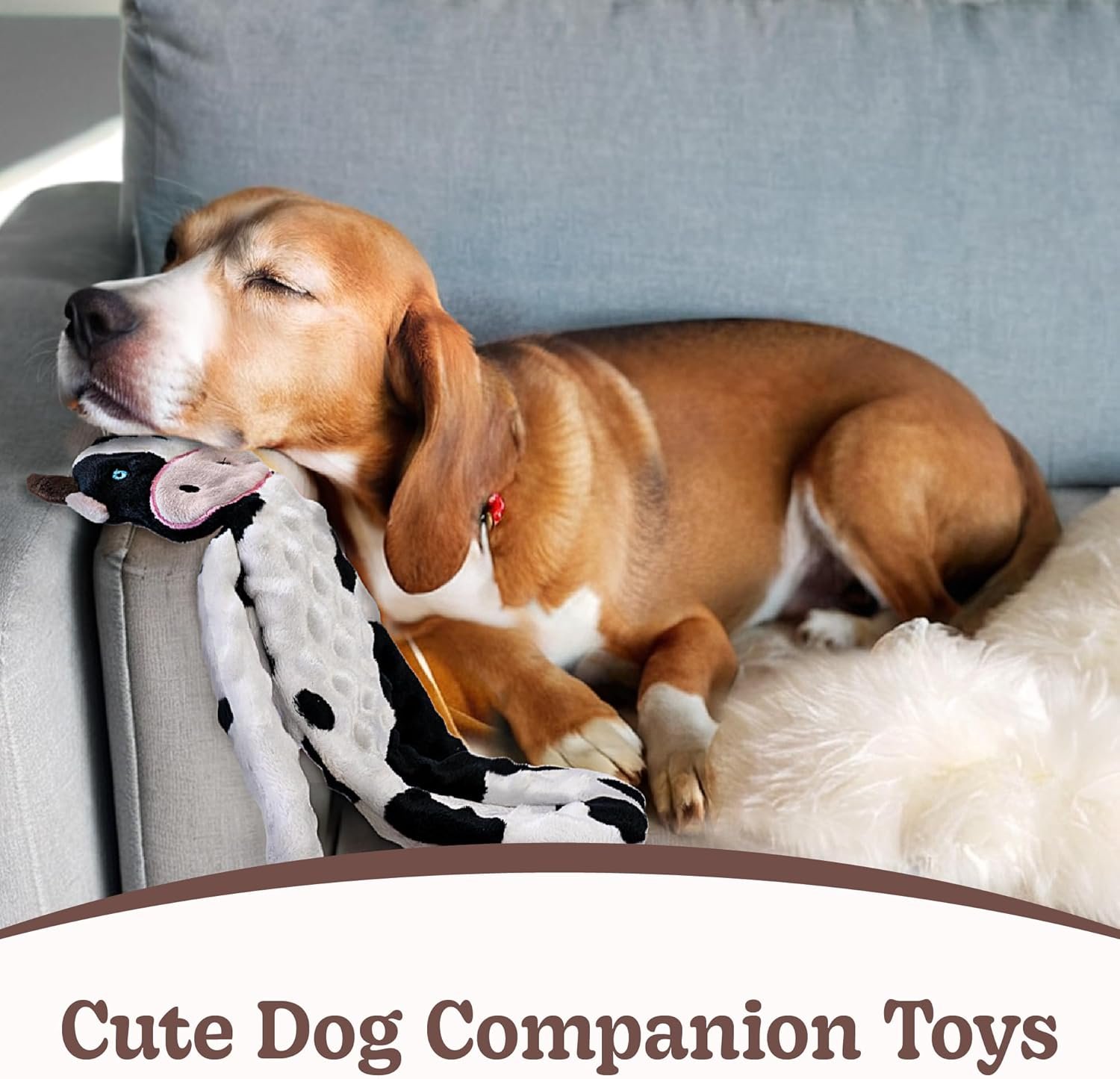 No Stuffing Dog Toys Squeaky for Small Dogs, Crinkle Puppy Teething Toys to Keep Them Busy, Plush Interactive Dog Toys, Long Lasting Dog Chews for Aggressive Chewers, Dog Toys for Boredom, 3 Pack - Image 5