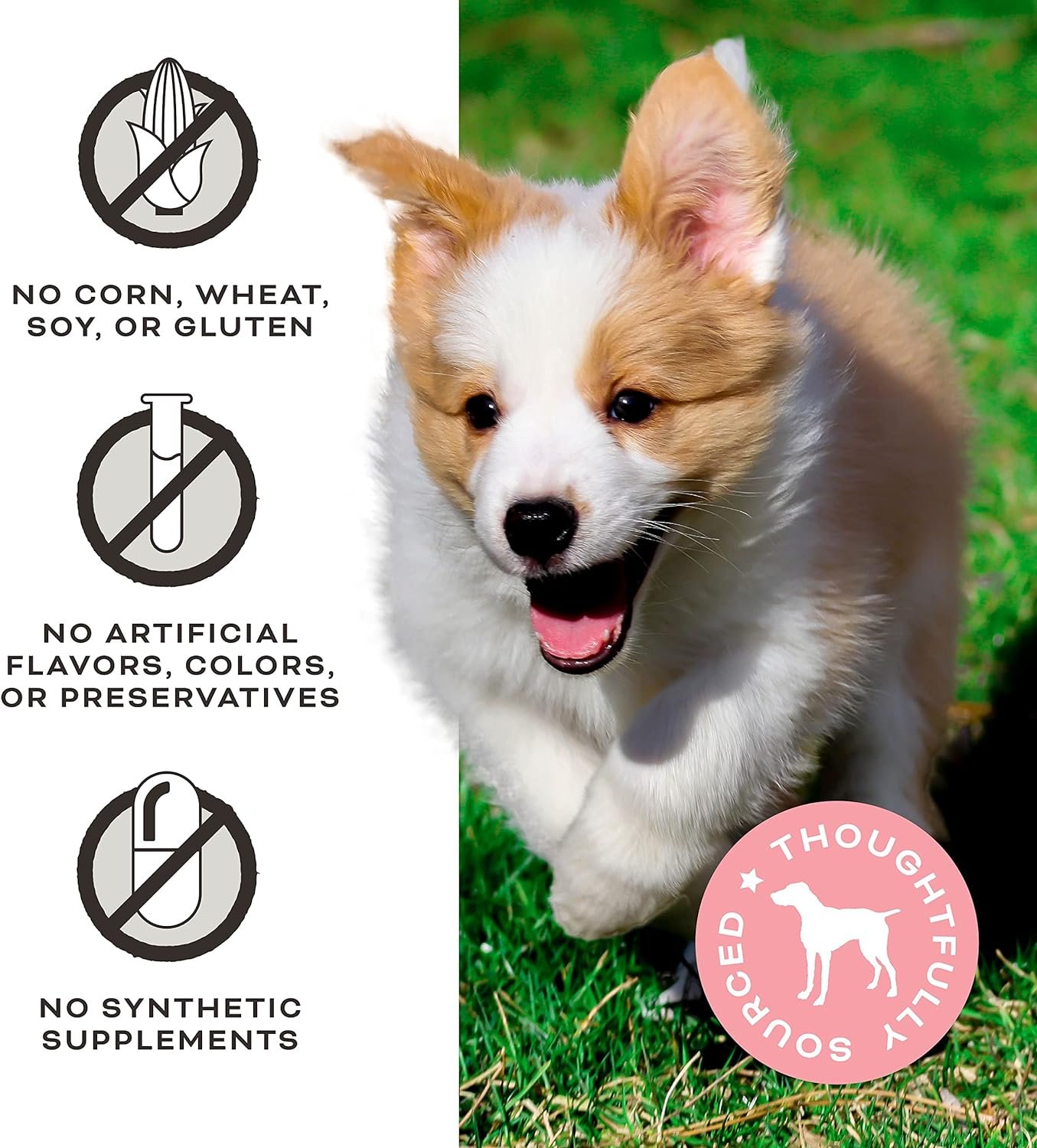 Primal Freeze Dried Dog Treats; Chicken & Banana Dog Treats with Goat Milk for Dogs, Peelin' Fantastic, Grain Free Training Treats for Dogs with Probiotics, 2 oz - Image 5