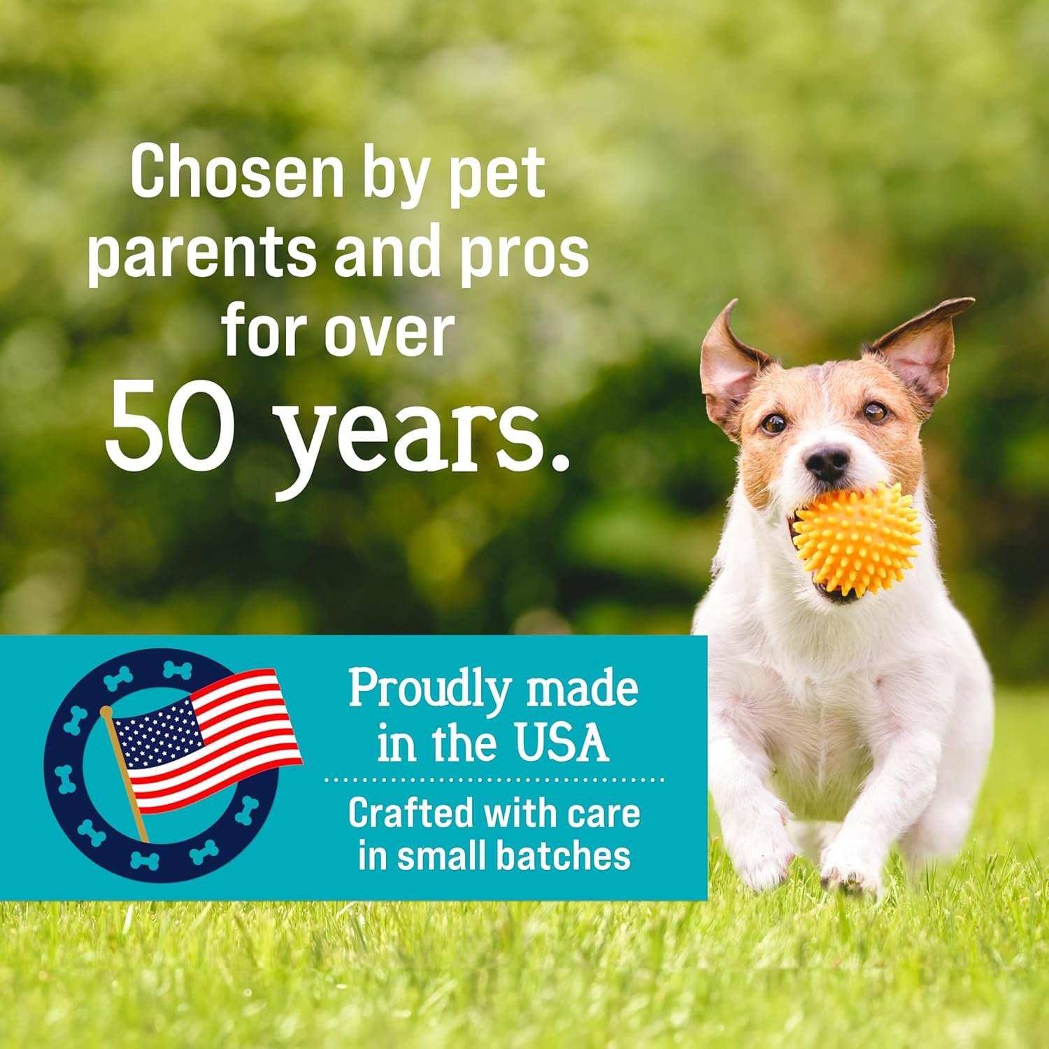 Stewart Single Ingredient Freeze Dried Raw Dog Treats, Chicken Liver, 1.5 Ounce Resealable Tub, Training Treats or Meal Topper Dogs, High Protein, Grain Free, Gluten Free - Image 8