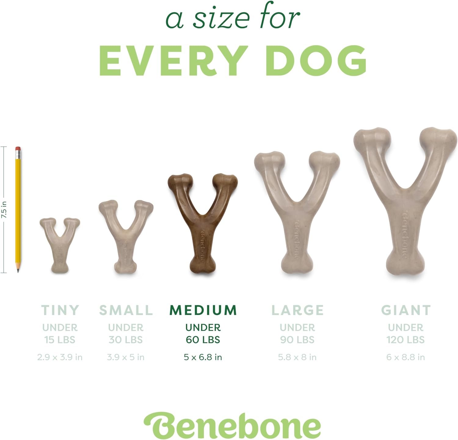Benebone Wishbone Durable Dog Chew Toy for Aggressive Chewers, Real Bacon, Made in USA, Medium - Image 6