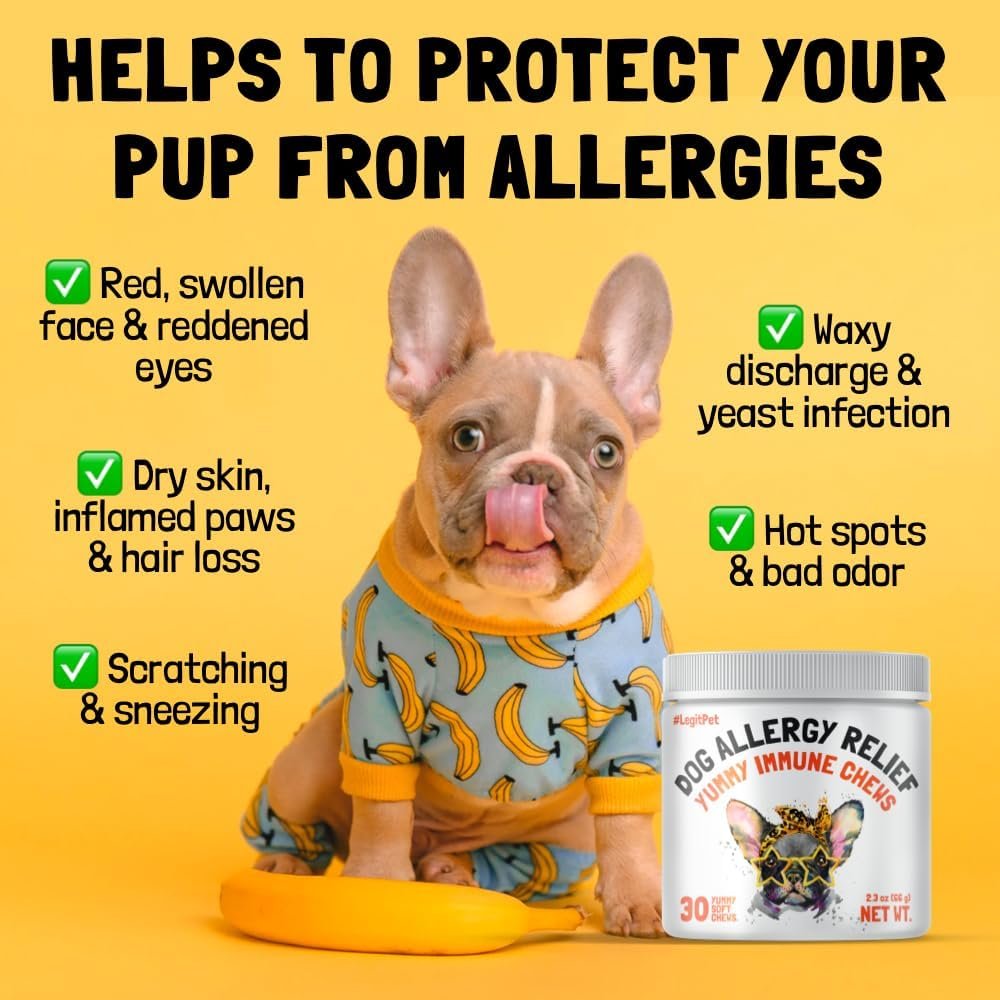 Allergy Relief Chews for Dogs & Immune & Digestive Supplement with Wild Salmon Oil Kelp Colostrum Turmeric Probiotics & Bee Pollen for Seasonal Allergies Anti Itch, Skin Hot Spots 30 Soft Treats - Image 3