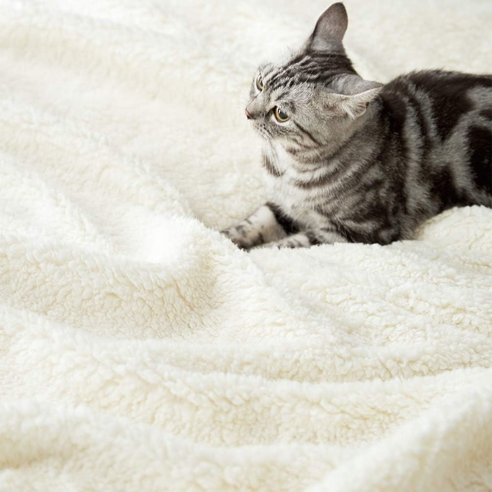 LBRO2M Sherpa Fleece Bed Blanket Queen Size Super Soft Fuzzy Plush Warm Cozy Fluffy Microfiber Couch Throw Double Reversible Blankets,Ivory - Image 7