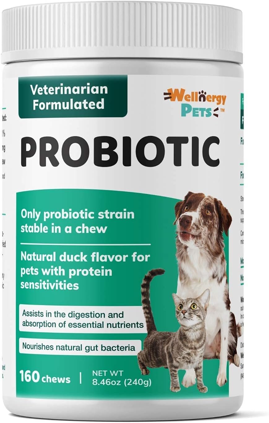 Wellnergy Daily Probiotic & Prebiotics Soft Chew for Dogs & Cats - Digestive Support for Diarrhea, Constipation, Upset Stomach, Indigestion & Gas - Helps Digestion, Allergy Skin & Immune Health 160ct - Image 5