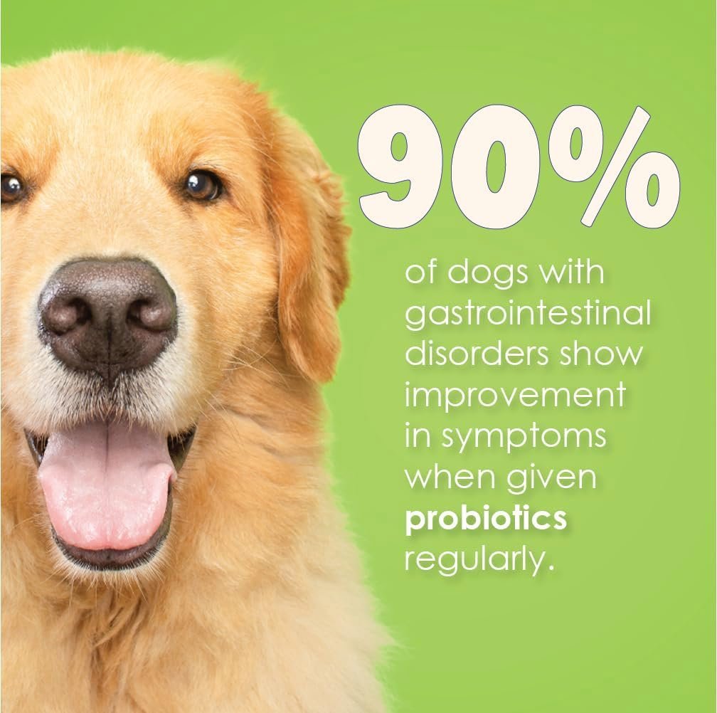 Proflora Probiotics for Dogs-Complete Gut Health & Immune Support. Easy to Use Digestive Multi-Strain Probiotics. Easier Diet Transitions, Healthier Skin & Coat & Helps Treat Diarrhea. 30 Packets. - Image 7