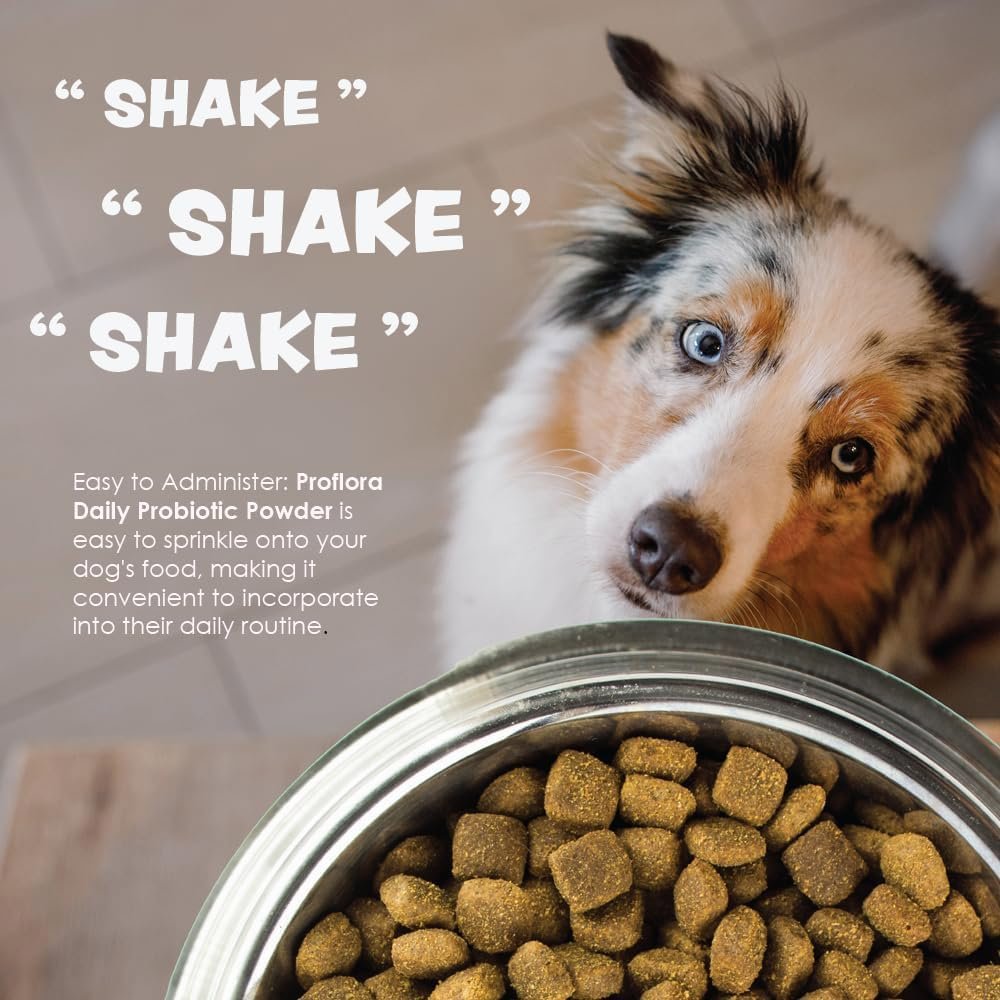 Proflora Probiotics for Dogs-Complete Gut Health & Immune Support. Easy to Use Digestive Multi-Strain Probiotics. Easier Diet Transitions, Healthier Skin & Coat & Helps Treat Diarrhea. 30 Packets. - Image 5