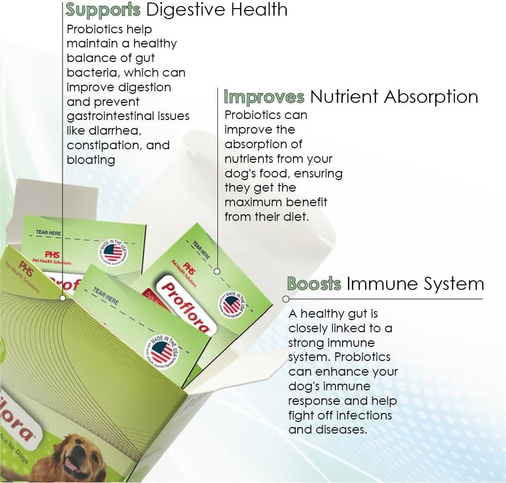 Proflora Probiotics for Dogs-Complete Gut Health & Immune Support. Easy to Use Digestive Multi-Strain Probiotics. Easier Diet Transitions, Healthier Skin & Coat & Helps Treat Diarrhea. 30 Packets. - Image 3