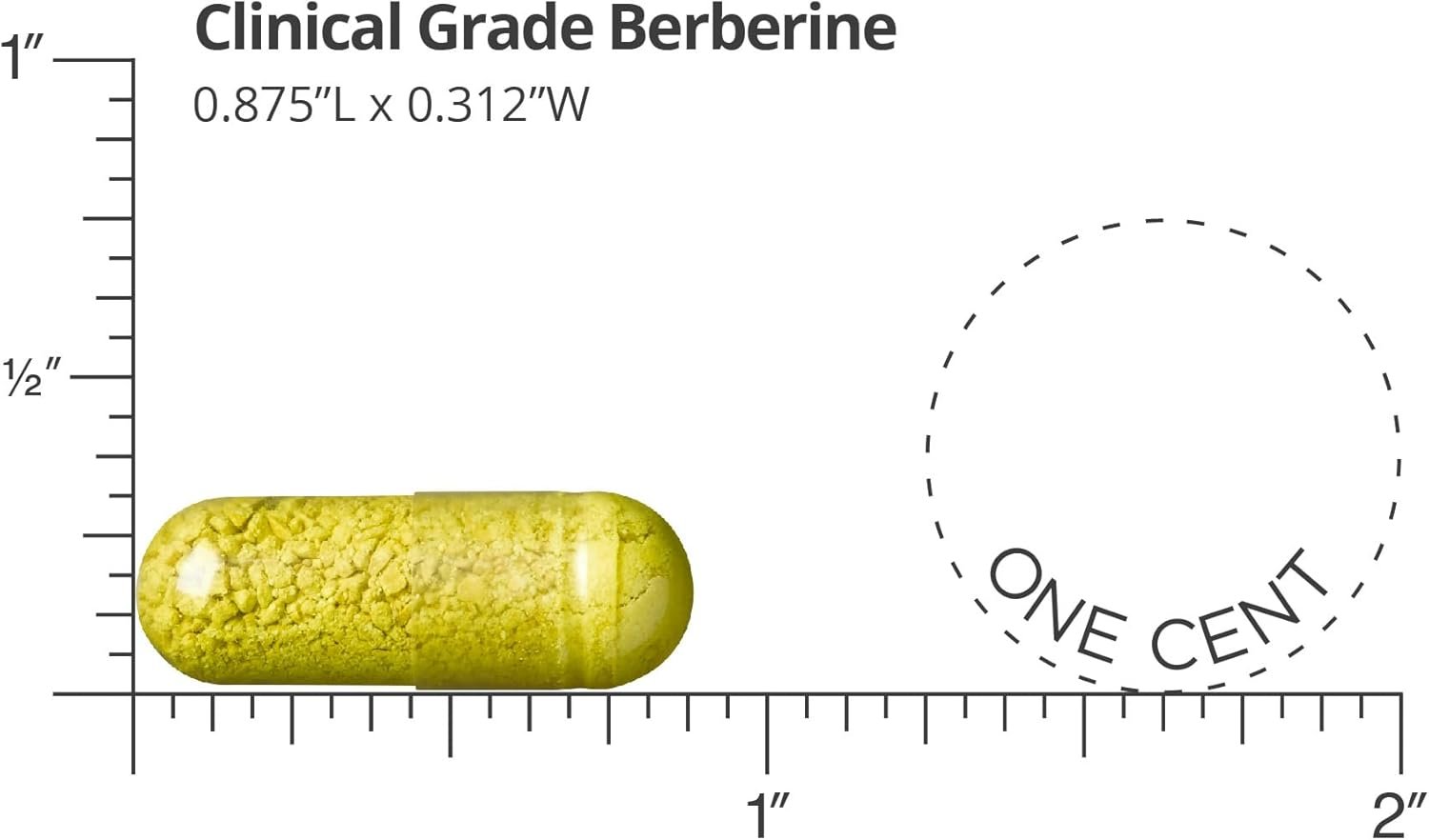 Dr. Whitaker Clinical Grade Berberine | 1,500mg Per Daily Serving | 30 Day Supply - Image 4