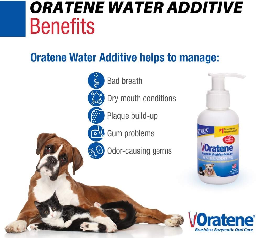 Zymox Oratene Enzymatic Brushless Oral Care Water Additive, 4oz - Image 3