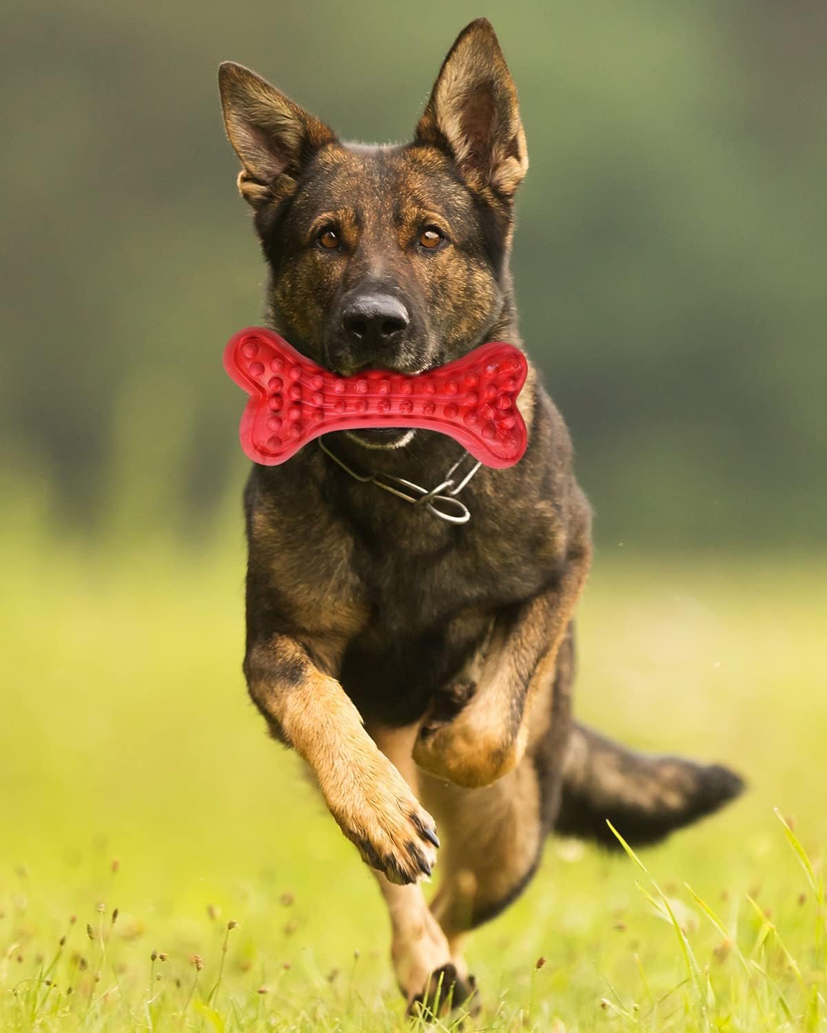 German Shepherd Dog Chew Toys for Aggressive Chewers,Indestructible Beef Flavored Tough Durable Dog Bone Toy Natural Rubber Teeth Cleaning Chews for Large/Medium Dogs - Image 7