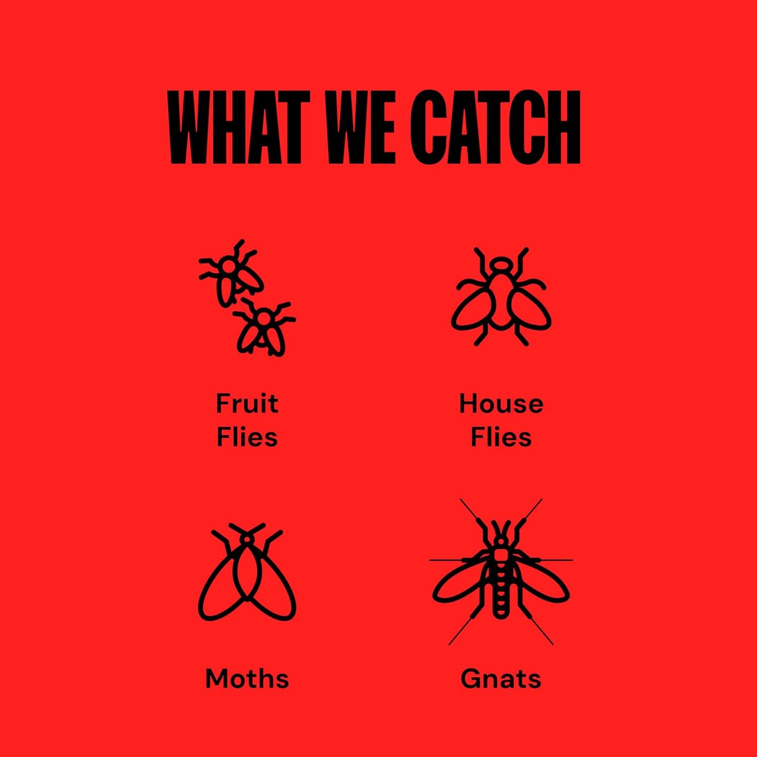 Dynatrap DT3007 Indoor Plug-in Fly Trap for Flies, Fruit Flies, Moths, Gnats, and Other Flying Insects - 1 Black Device + 2 Glue Cards - Image 4