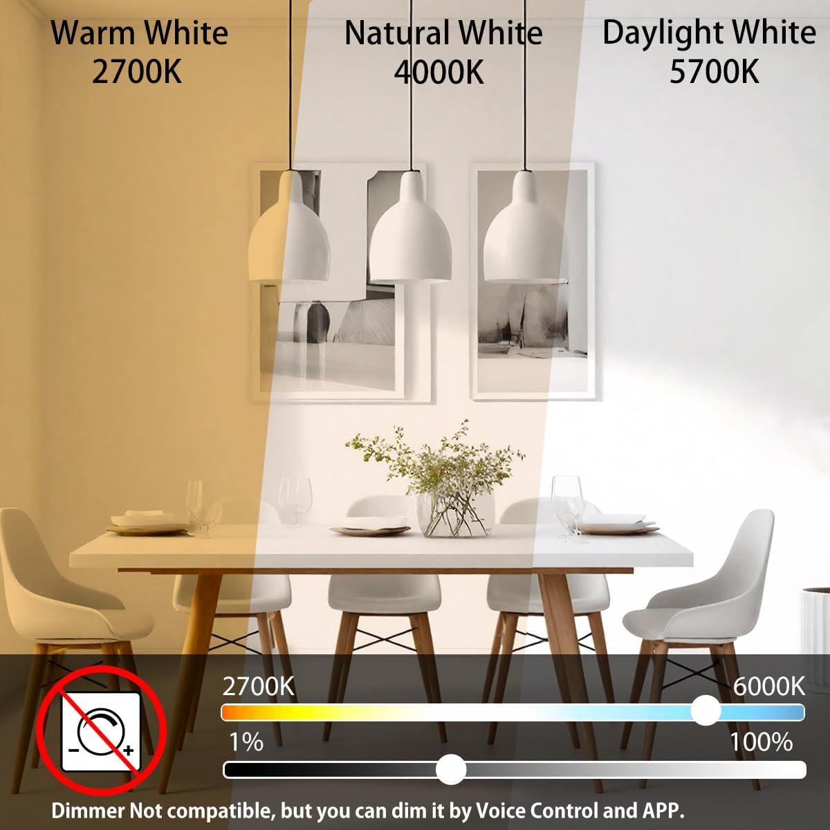 ILC G120 LED Large Globe Light Bulbs 15W, Work with Alexa Required Echo Device, Φ4.72 inch, Color Changing, CCT Color Temprature Turnable 2700K-6000K, CRI>95+, 150W Equivatlent, E26 Base (2 Pack) - Image 8