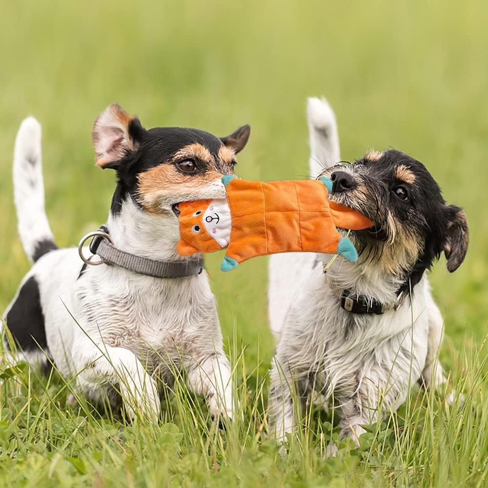 No Stuffing Dog Toys,5 Pack Dog Squeaky Toys Crinkle Plush Dog Toys Set for Puppy Teething, Durable Dog Chew Toys for Small Medium Dog,Cute Holiday Pet Toys for Playing Training Reducing Boredom - Image 8