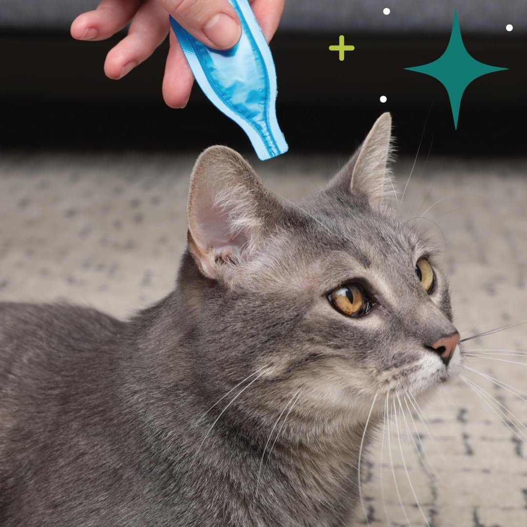 Valerian Calming Spot On for Cats 3 Applications Convenient Weekly Topical Natural Valerian Extract, Promotes Calmness and Relaxation - Image 6