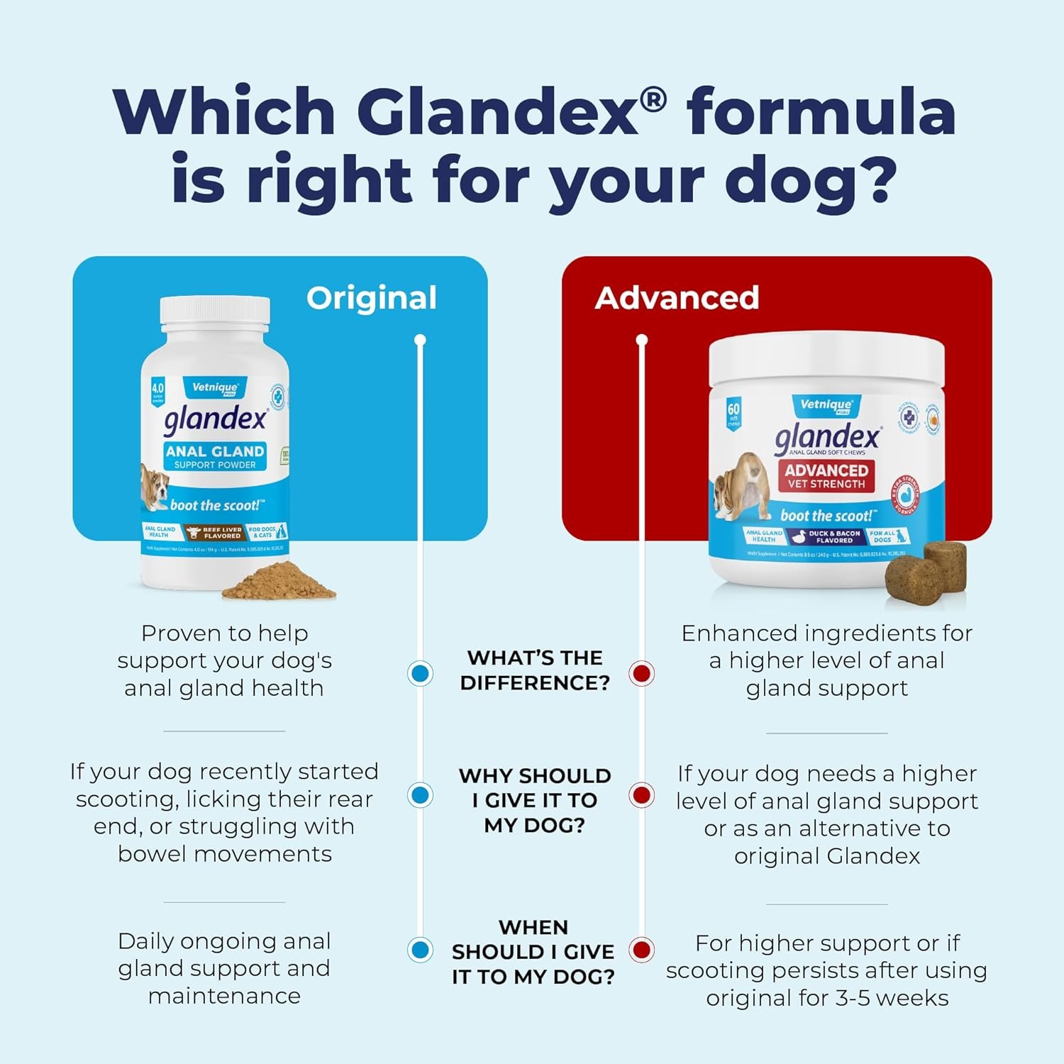 Glandex Dog Fiber Supplement Powder for Anal Glands with Pumpkin, Digestive Enzymes & Dog Probiotics for Digestive Health - Vet Recommended - Boot The Scoot (Beef Liver, 2.5oz Powder) - Image 9