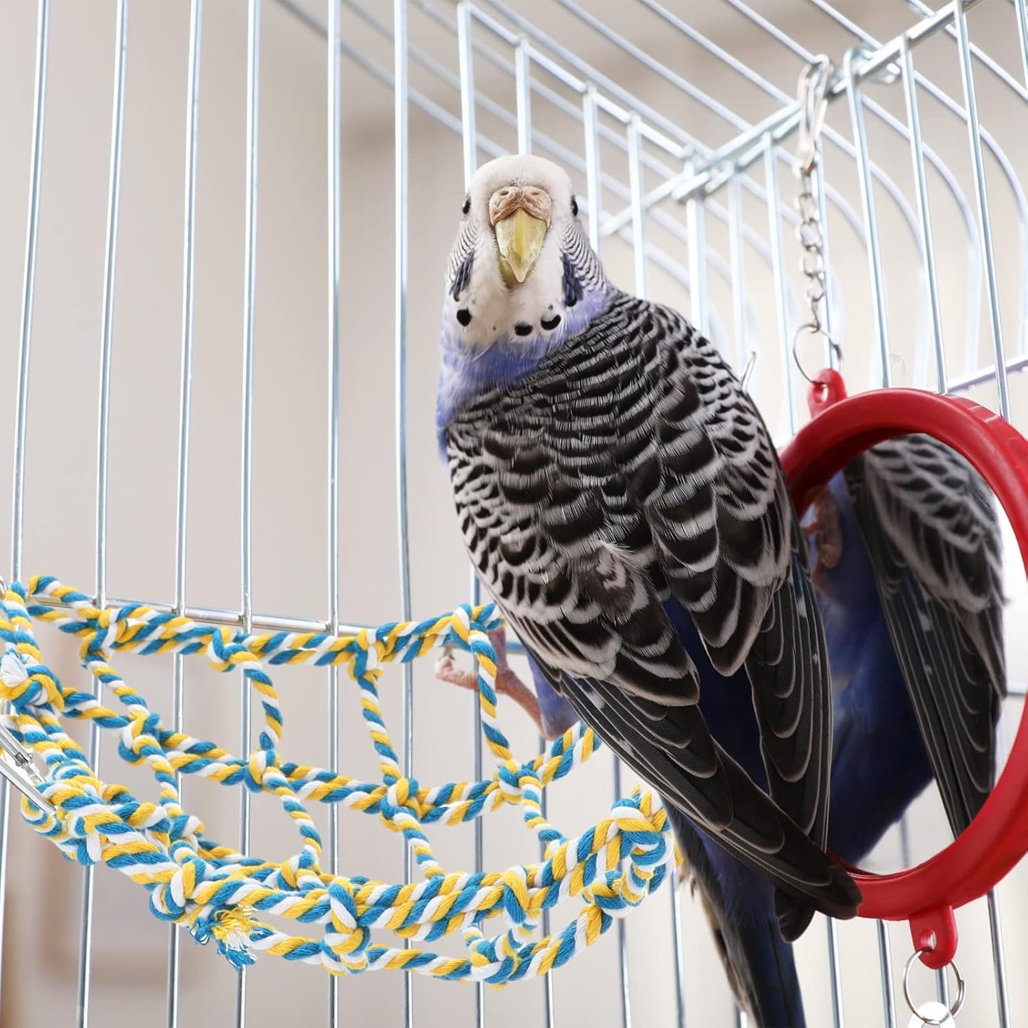 Berlune 6 Pcs Rat Ropes for Cage Rat Cage Accessories Climbing 12.6 x 9.84 Inch Bird Rope Rat Toys for Pet Hammock Hamster Cotton Rope Bridge Bird Ladder for Small Animal Habitat Rat Play - Image 6