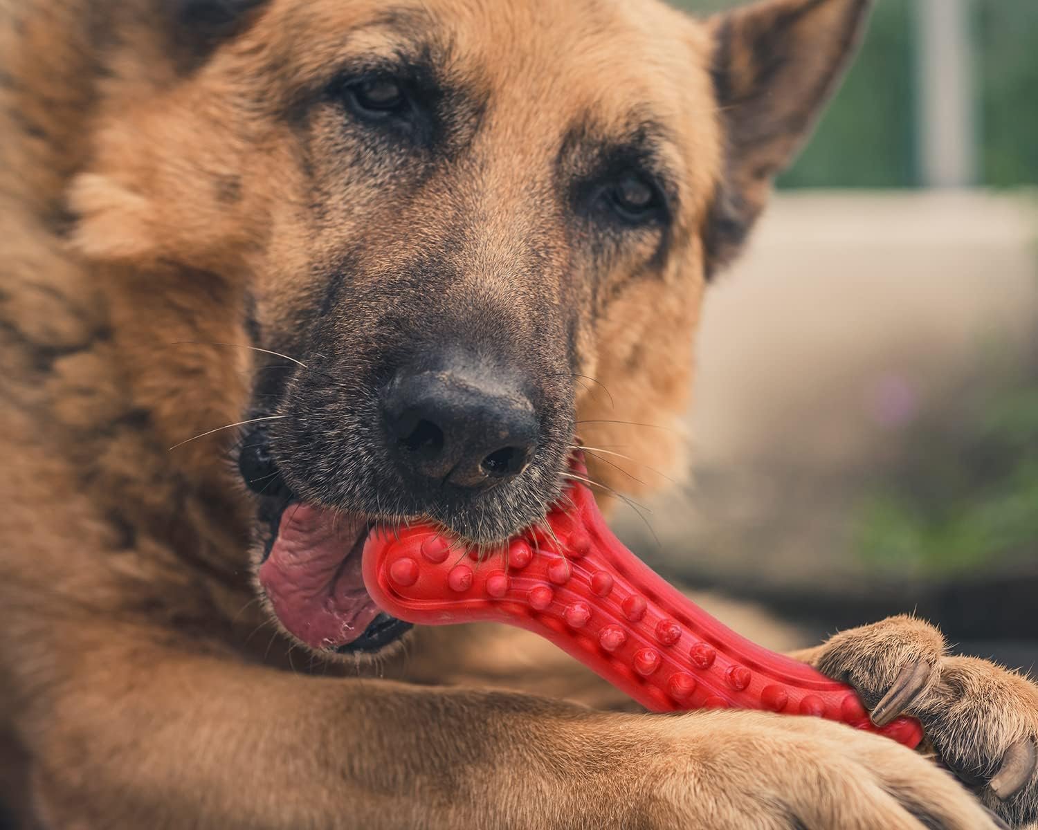 German Shepherd Dog Chew Toys for Aggressive Chewers,Indestructible Beef Flavored Tough Durable Dog Bone Toy Natural Rubber Teeth Cleaning Chews for Large/Medium Dogs - Image 3