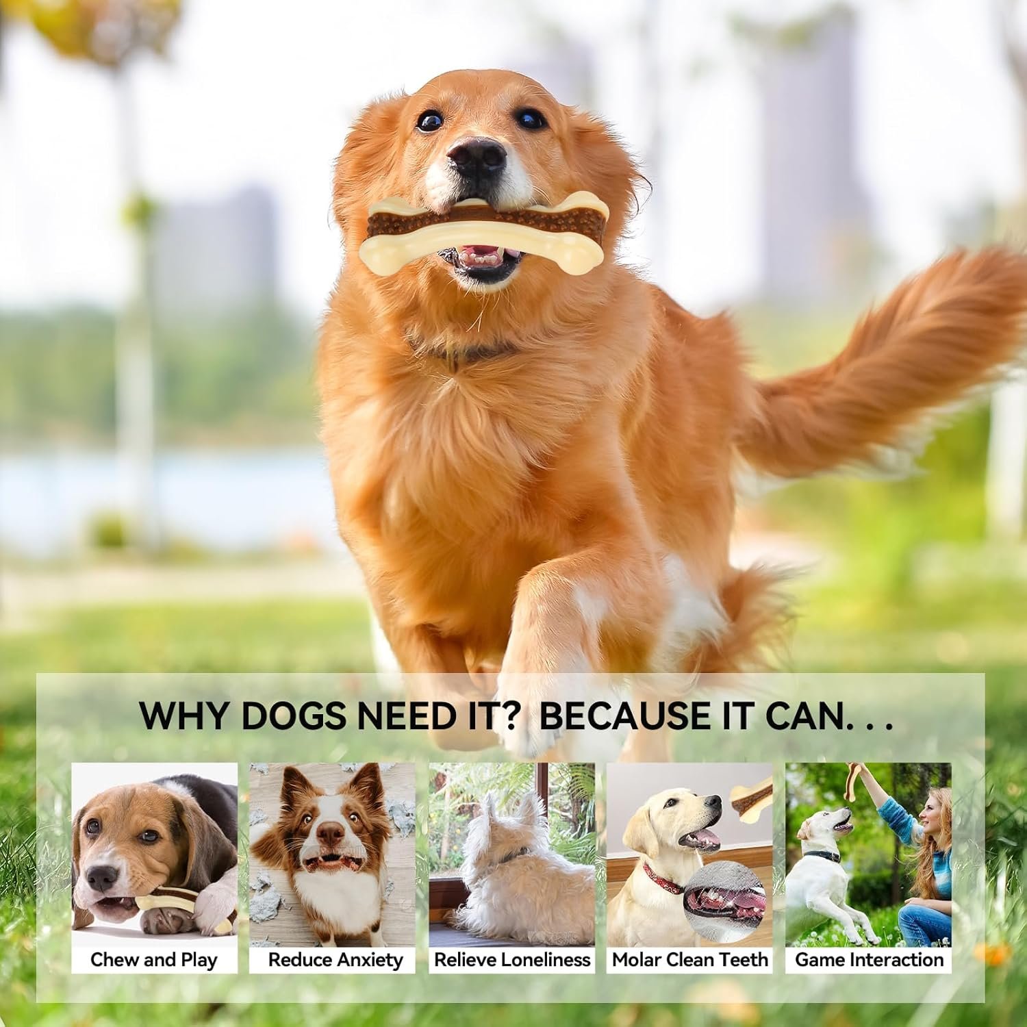 Dog Chew Toys for Aggressive Chewers, 2 Pack Beef Flavor Tough Dog Bones for Large/Medium Breed Dogs, Nylon Dog Toys for Teething and Training - Image 5