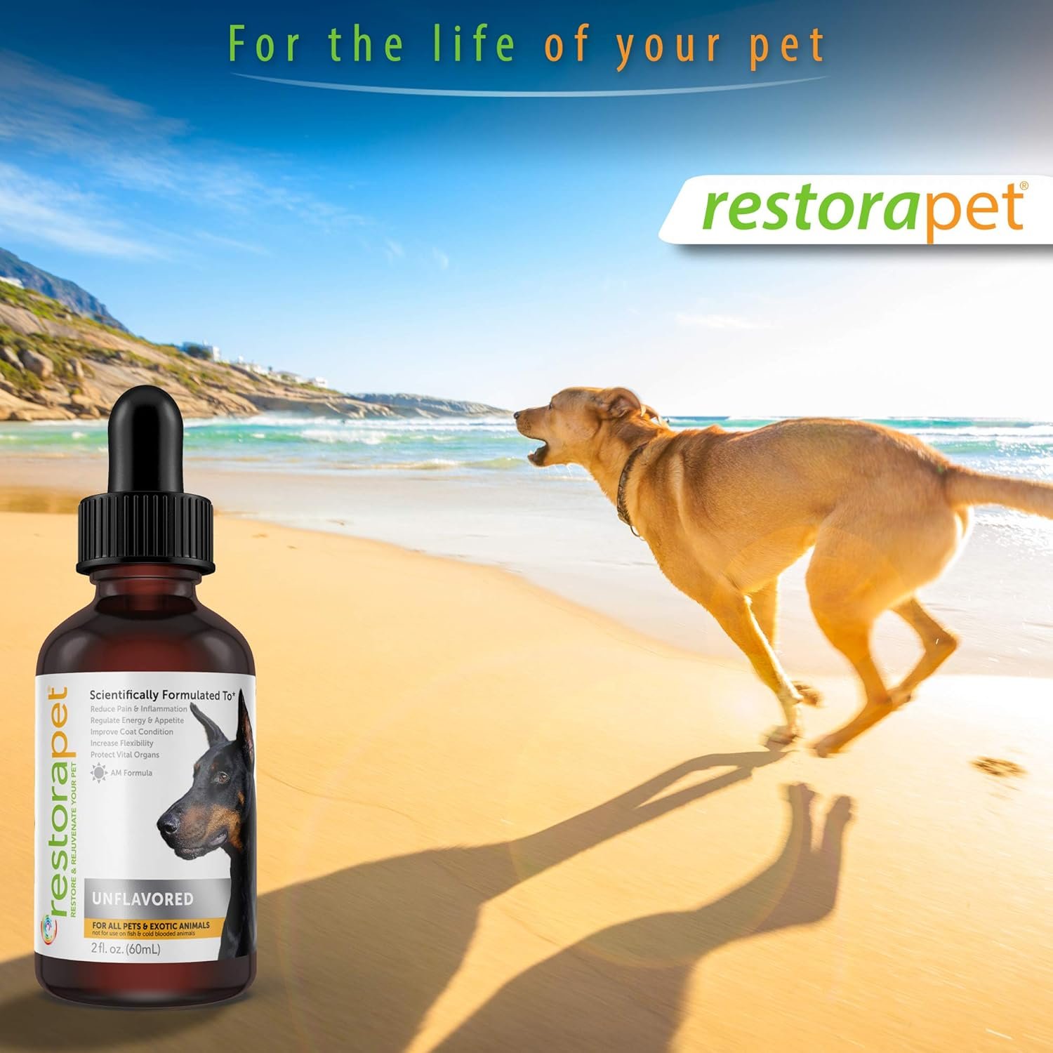 RestoraPet 1-Pack Dog & Cat Beef Liquid Multivitamin | Dog Arthritis Pain Relief | Hip & Joint Vitamins for Dogs - Anti Inflammatory Supplement for Dogs & Cats | Organic & Non-GMO, Vet Approved - Image 7