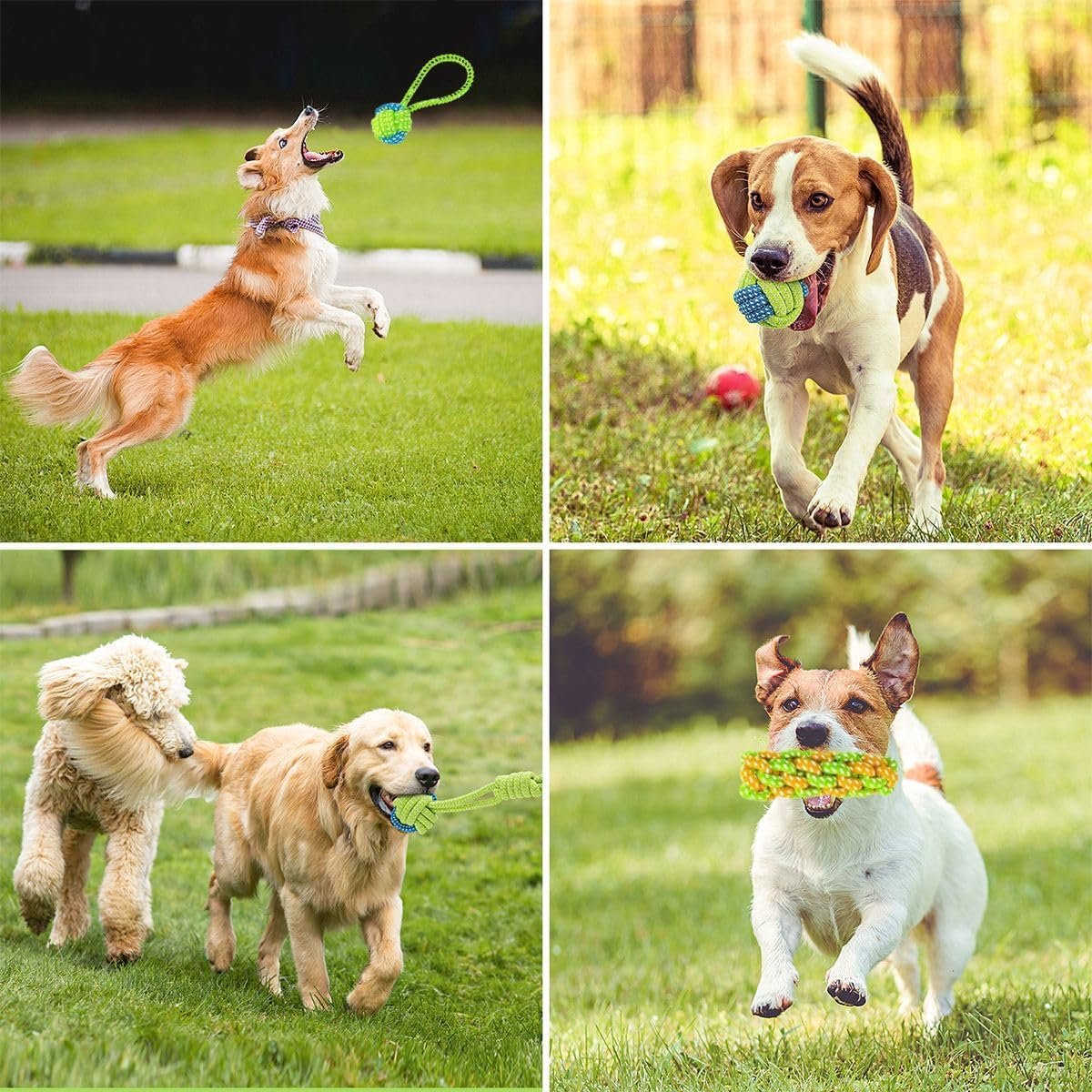 6 Pack Rope Toys for Dogs Aggressive Chewers, Prevents Boredom, Dental Cleaning for Small Dog,Tug of War Teething Dog Toys for Puppies, Cotton Dog Teething Toys for Instinctual Play and Training - Image 6