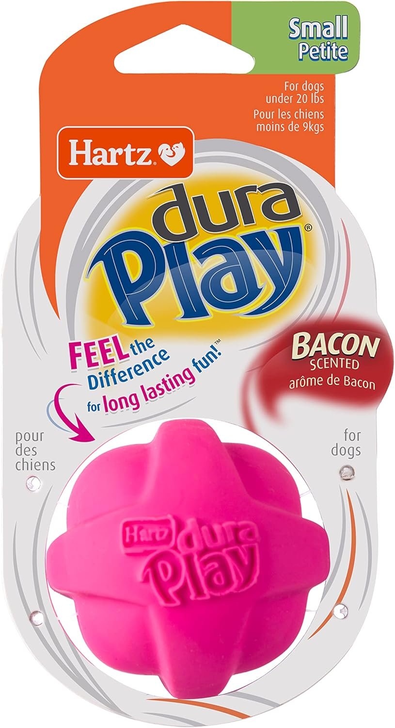 Hartz DuraPlay Bacon Scented Dog Toys, Small (Assorted Color) - Image 9