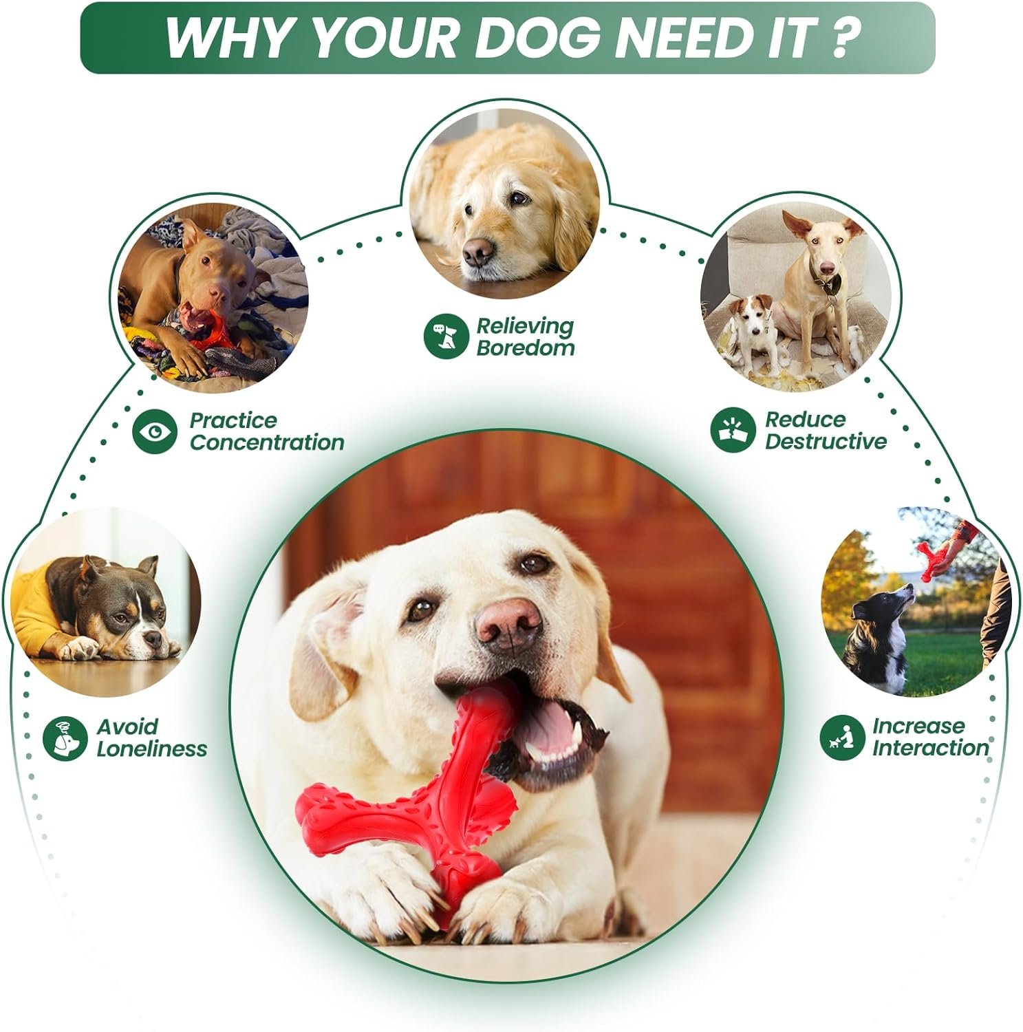 Dog Chew Toys for Aggressive Chewers Large Breed,Indestructible Bones Toy,Durable Cleaning Toothbrush Natural Rubber Dog Toys - Image 5