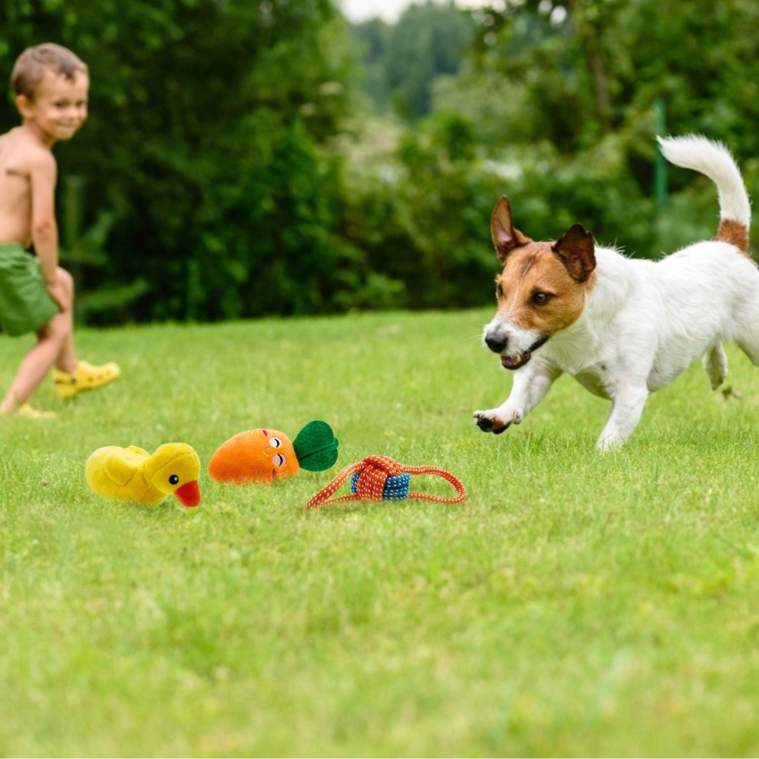 Toozey 12 Pack Puppy Teething Toys for Small Dogs - Plush Squeaky & Rope Chew Set Bundle, Safe Durable and Non-Toxic for Interactive Play and Dental Health - Image 10