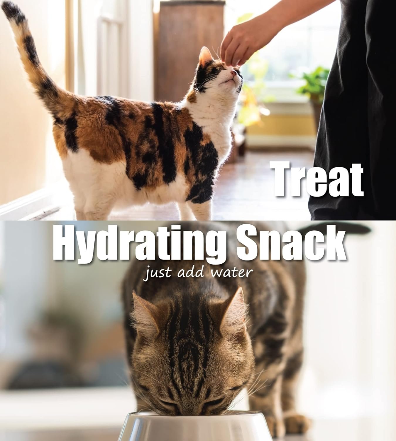 Whole Life Pet USDA Certified Organic Chicken - Dog & Cat Treat Or Topper - Human Grade, Freeze Dried, One Ingredient - Protein Rich, Grain Free, Made in The USA - Image 4