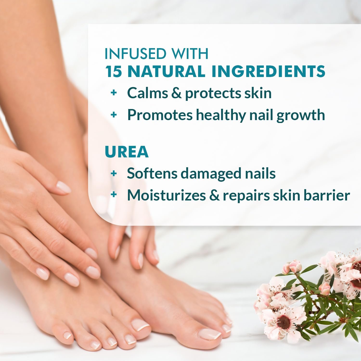Ebanel Athlete's Foot Fungus Treatment Extra Strength, Antifungal Cream with Miconazole, Undecylenic Acid, Tea Tree Oil, Treats Skin Fungus Leading to Toenail Fungus, Promotes Healthy New Nail Growth - Image 7
