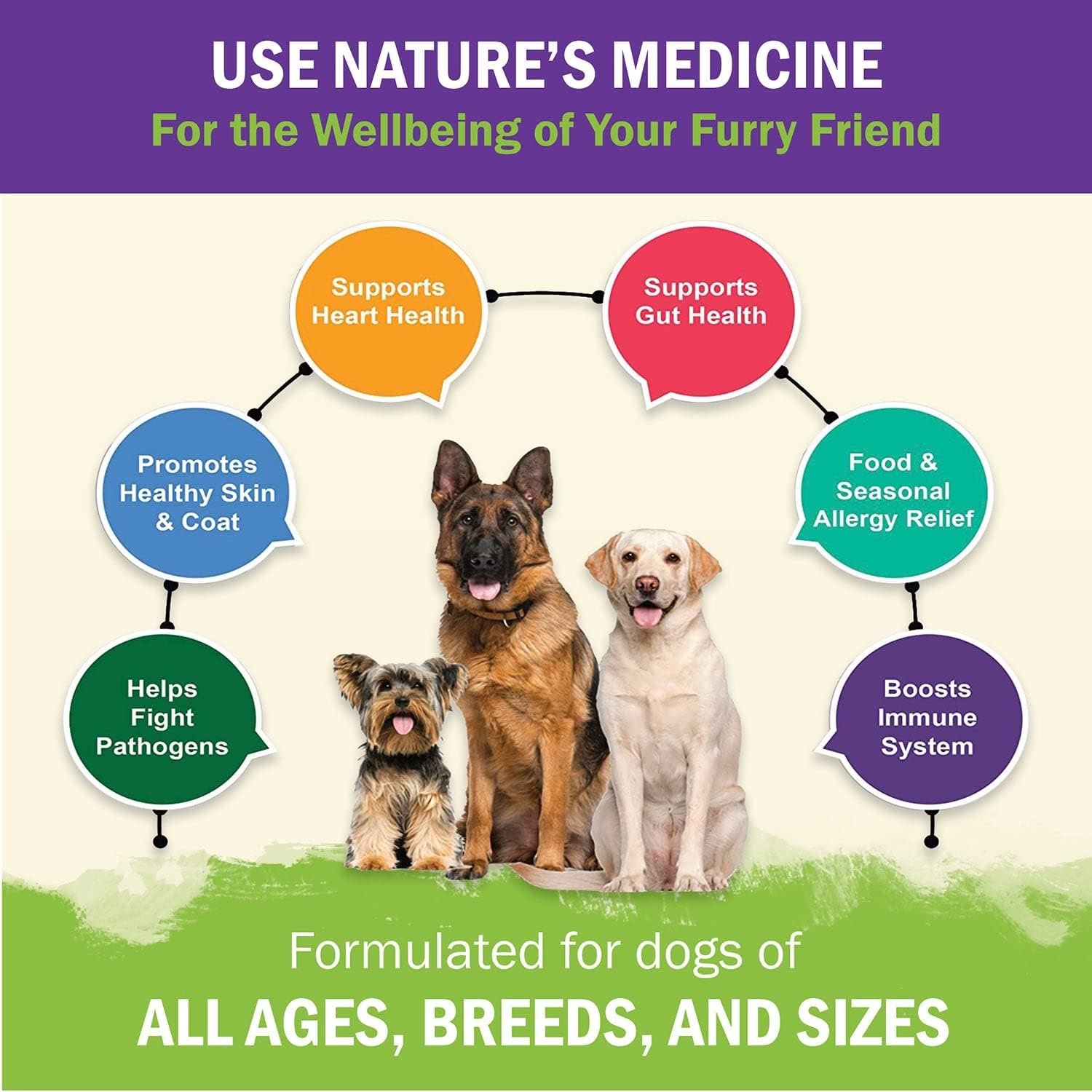 ZENAPET Allergy Immune Support Supplement for Dogs, Superfood 100% Human-Grade with Turkey Tail Mushroom, Prebiotics for Gut Health, Itchy Skin, Seasonal Allergies & Yeast - for Small to Large Breeds - Image 6