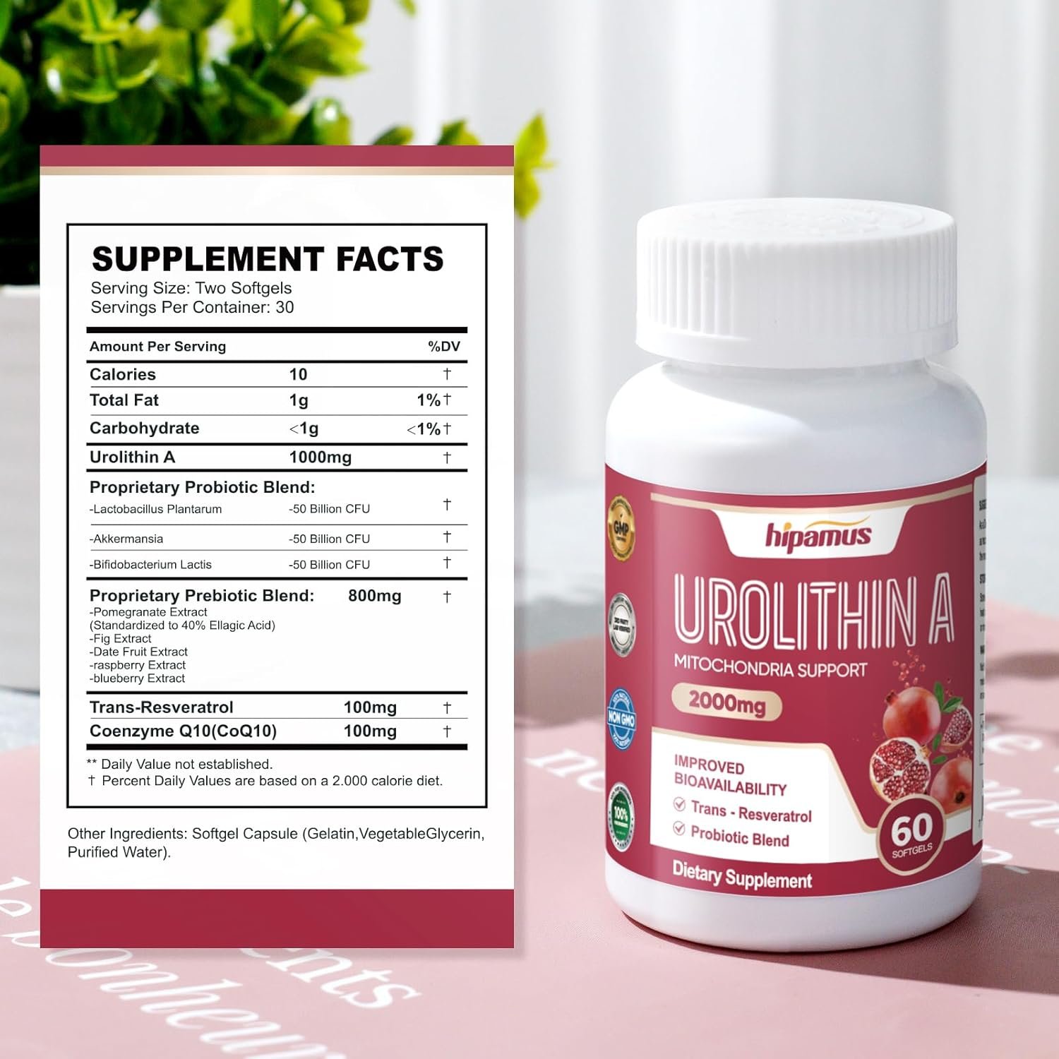 Urolithin A Supplement, 2,000mg for Healthy Aging, Antioxidants and Mitochondrial Support, 60 Softgels - Image 4