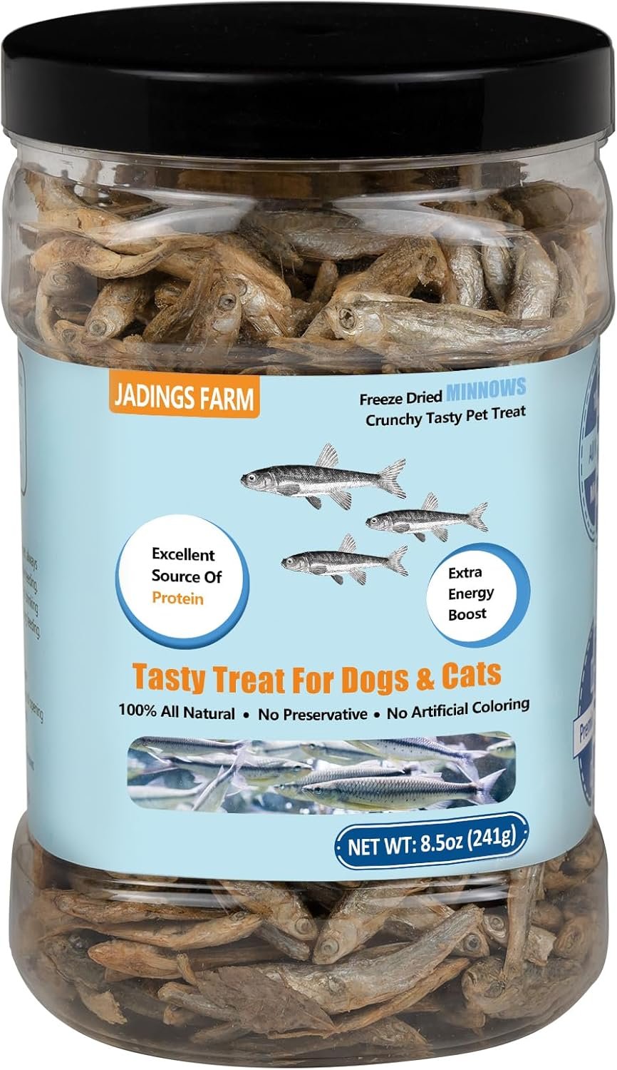 Minnows - 8.5 oz Freeze Dried - 100% Natural Premium Cat Treat, Dog Treat - Freeze Dried Minnows for Cats - Freeze Dried Minnows for Dogs (8.5 OZ) - Image 2