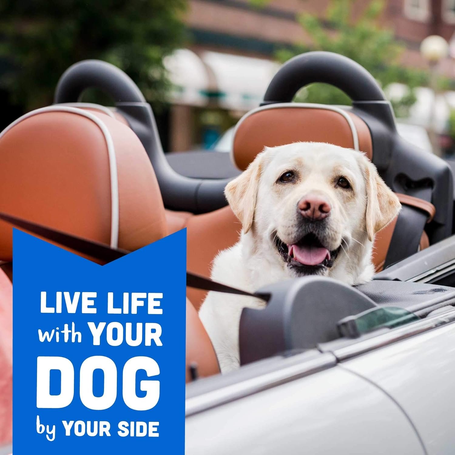 Cloud Star Wag More Bark Less Mini Crunchy Grain Free Dog Treats, Beef, Bacon & Cheese, 7 oz. Pouch - Image 7