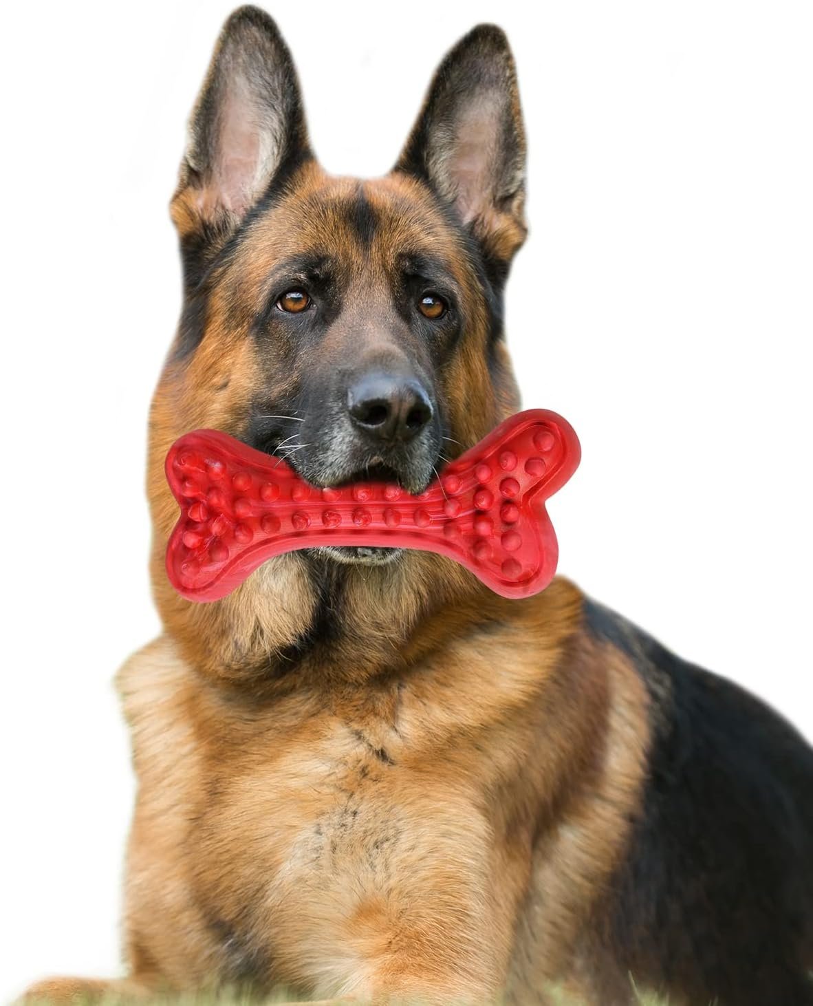 German Shepherd Dog Chew Toys for Aggressive Chewers,Indestructible Beef Flavored Tough Durable Dog Bone Toy Natural Rubber Teeth Cleaning Chews for Large/Medium Dogs - Image 2