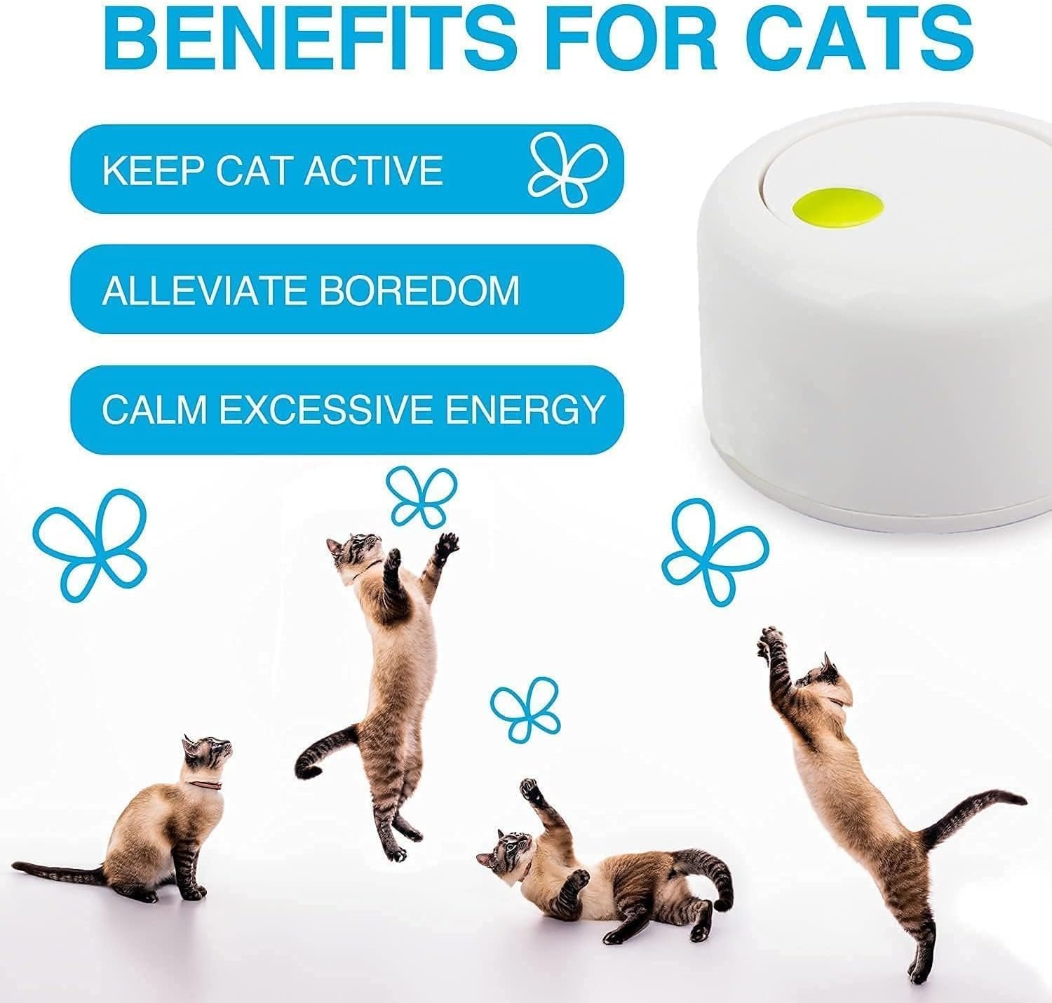 ALL FOR PAWS Interactives Cat Teaser Toy Catnip Toy Flutter Bug Cat Wand Toy Cat Fun Playing Toys Kitten Toys (Shiny Butterfly) - Image 8