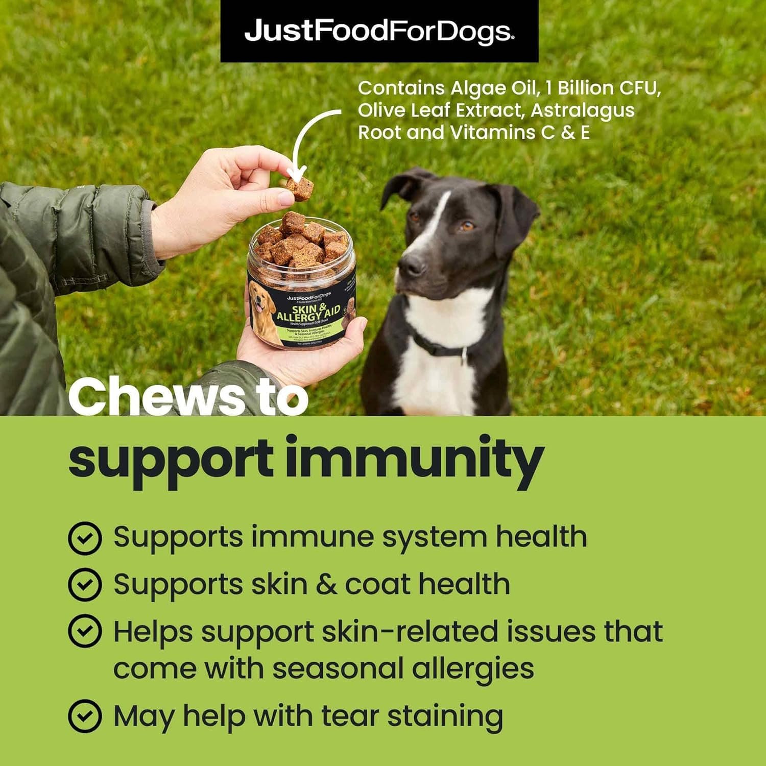 JustFoodForDogs Skin & Allergy Care Soft Chews Supplement for Dogs, Seasonal Allergies, Itchy Skin, Inflammation, Immune Support - 45 Count - Image 3