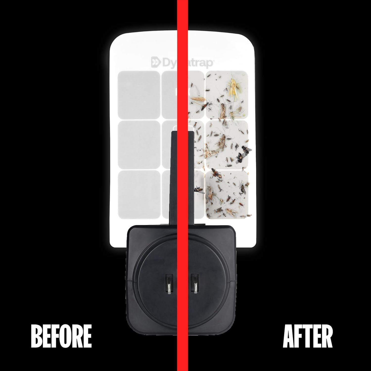 Dynatrap DT3007 Indoor Plug-in Fly Trap for Flies, Fruit Flies, Moths, Gnats, and Other Flying Insects - 1 Black Device + 2 Glue Cards - Image 3